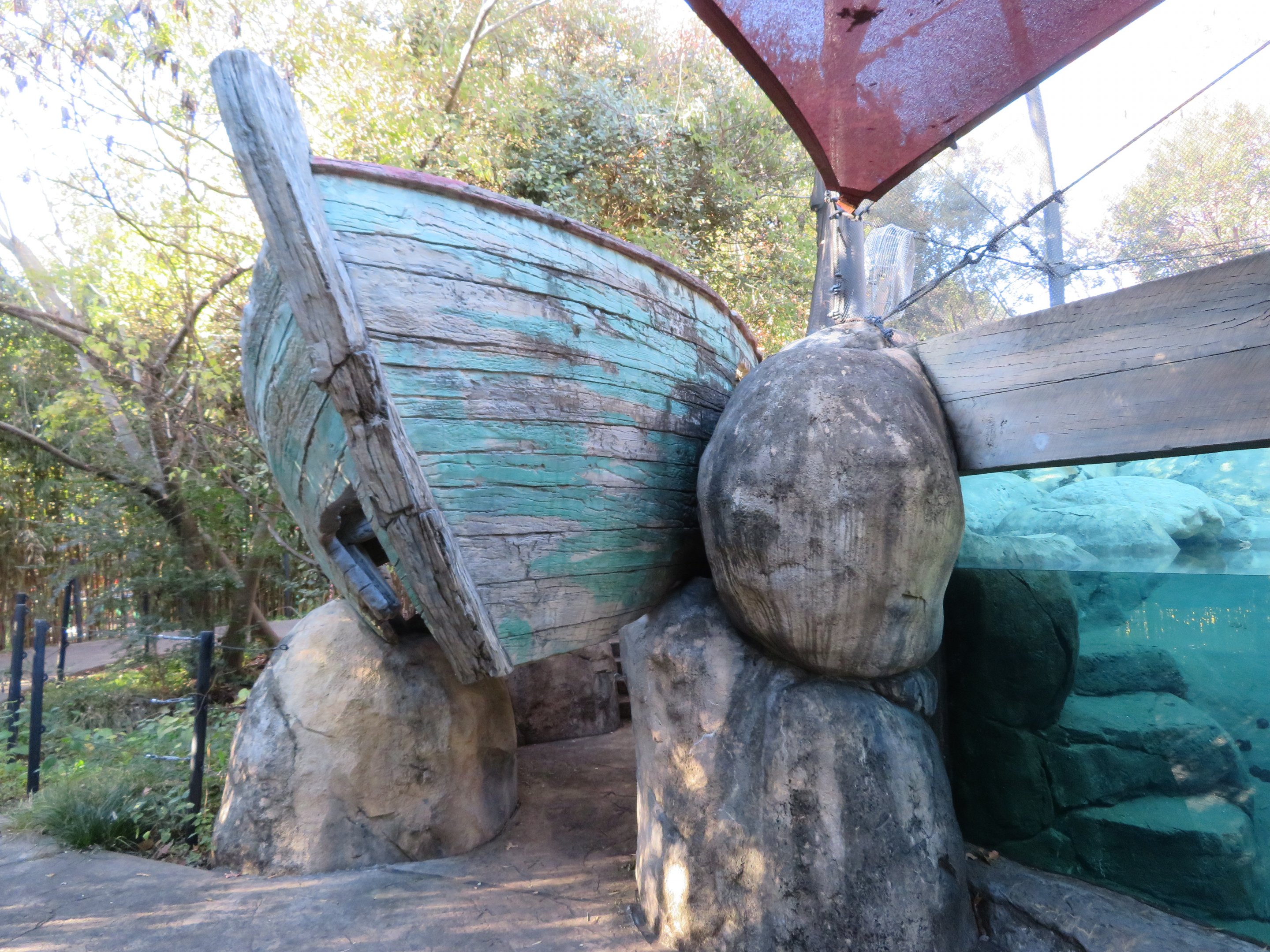 African Penguin Exhibit - Ship