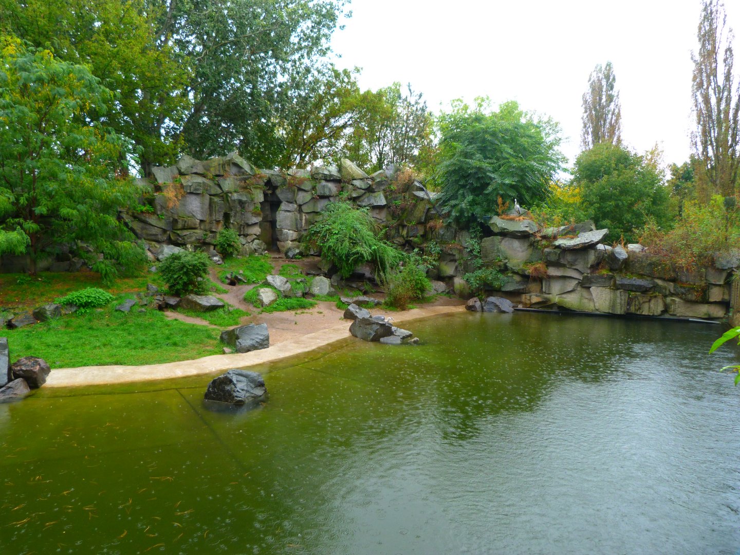 African penguin exhibit -Tierpark Berlin (2024)