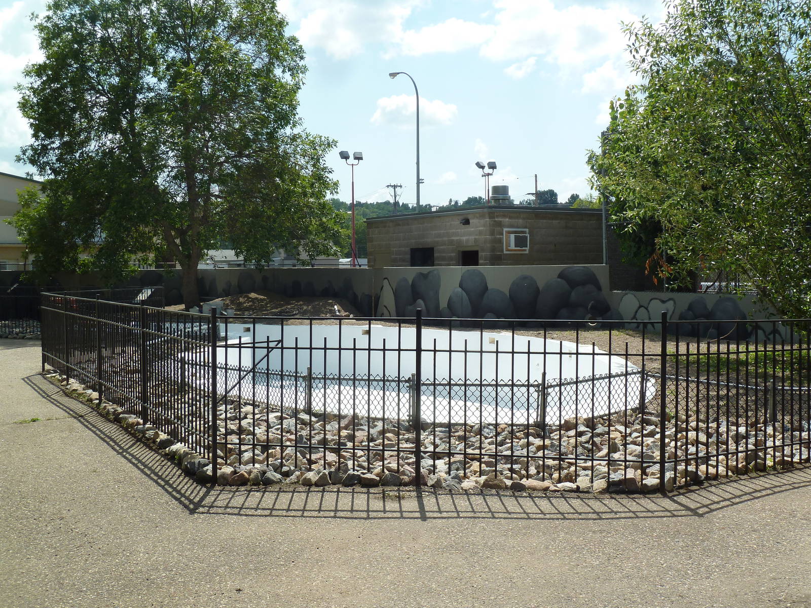 African Penguin Exhibit (under construction)