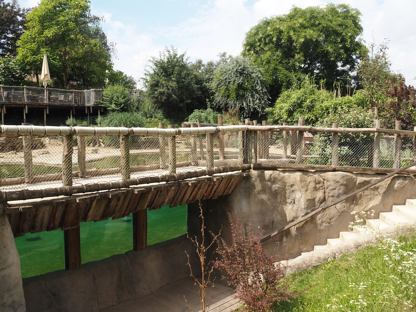 African penguin exhibit underwater and above water viewing areas, 2024-08-05