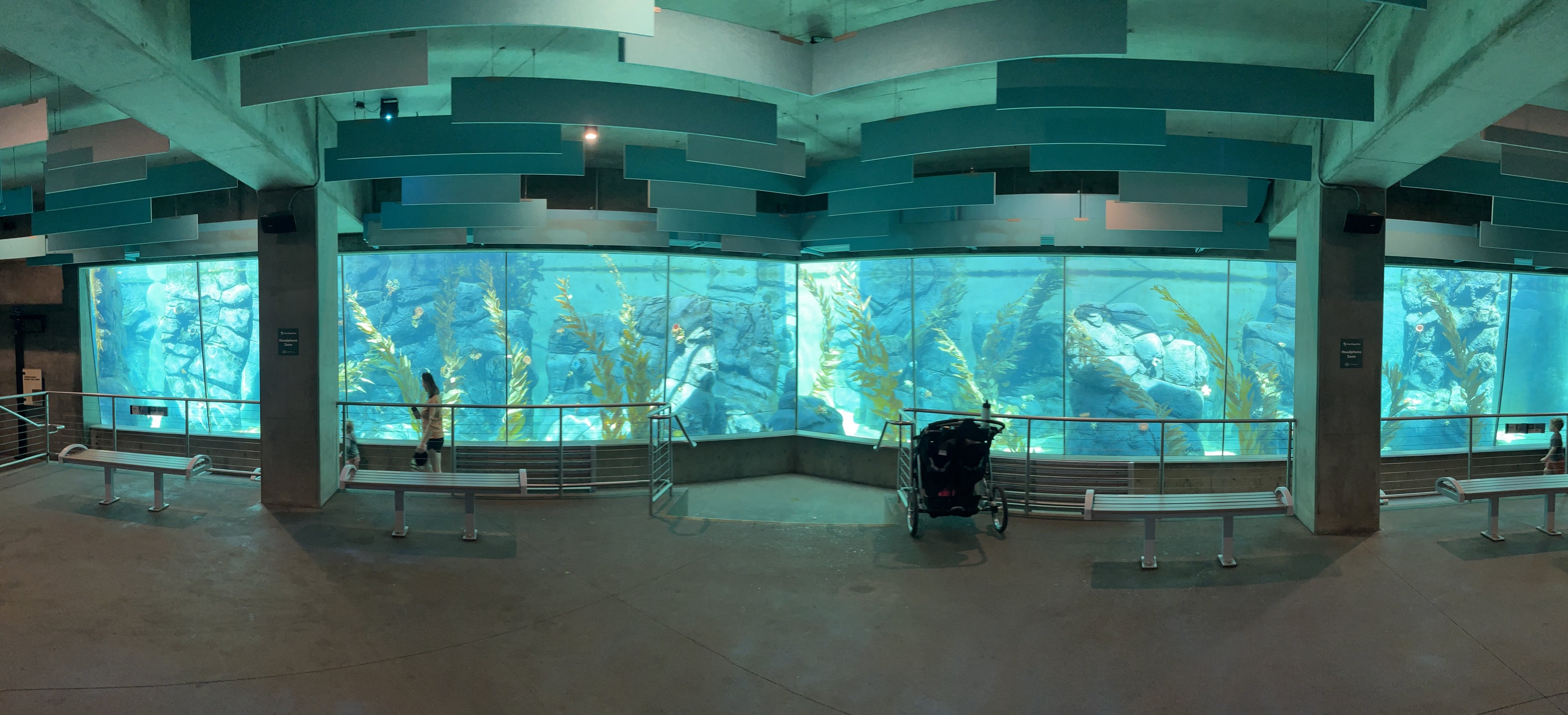 African Penguin Exhibit - world class