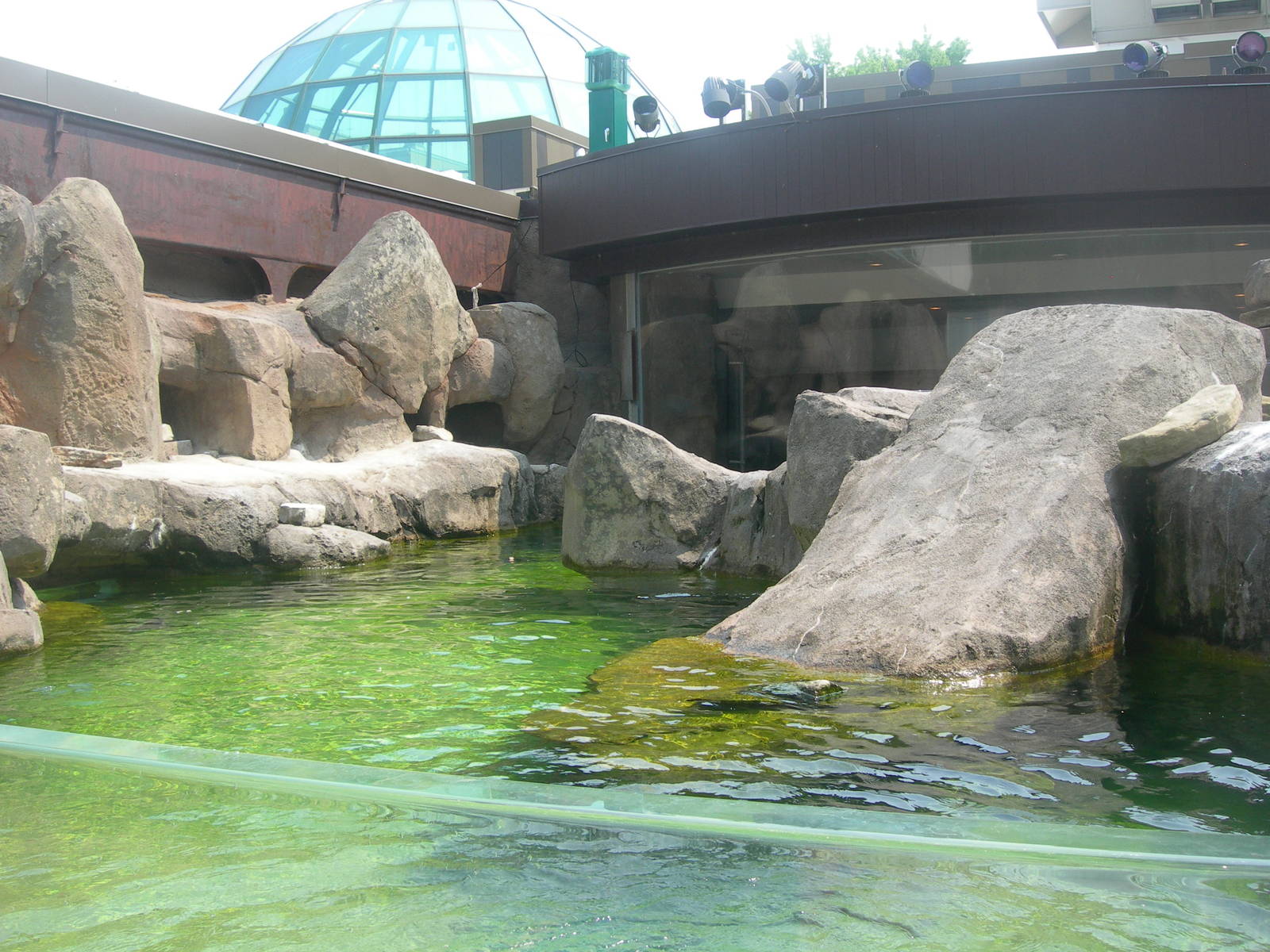 African Penguin Exhibit