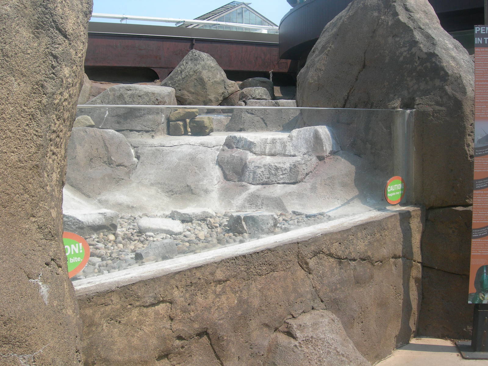 African Penguin Exhibit