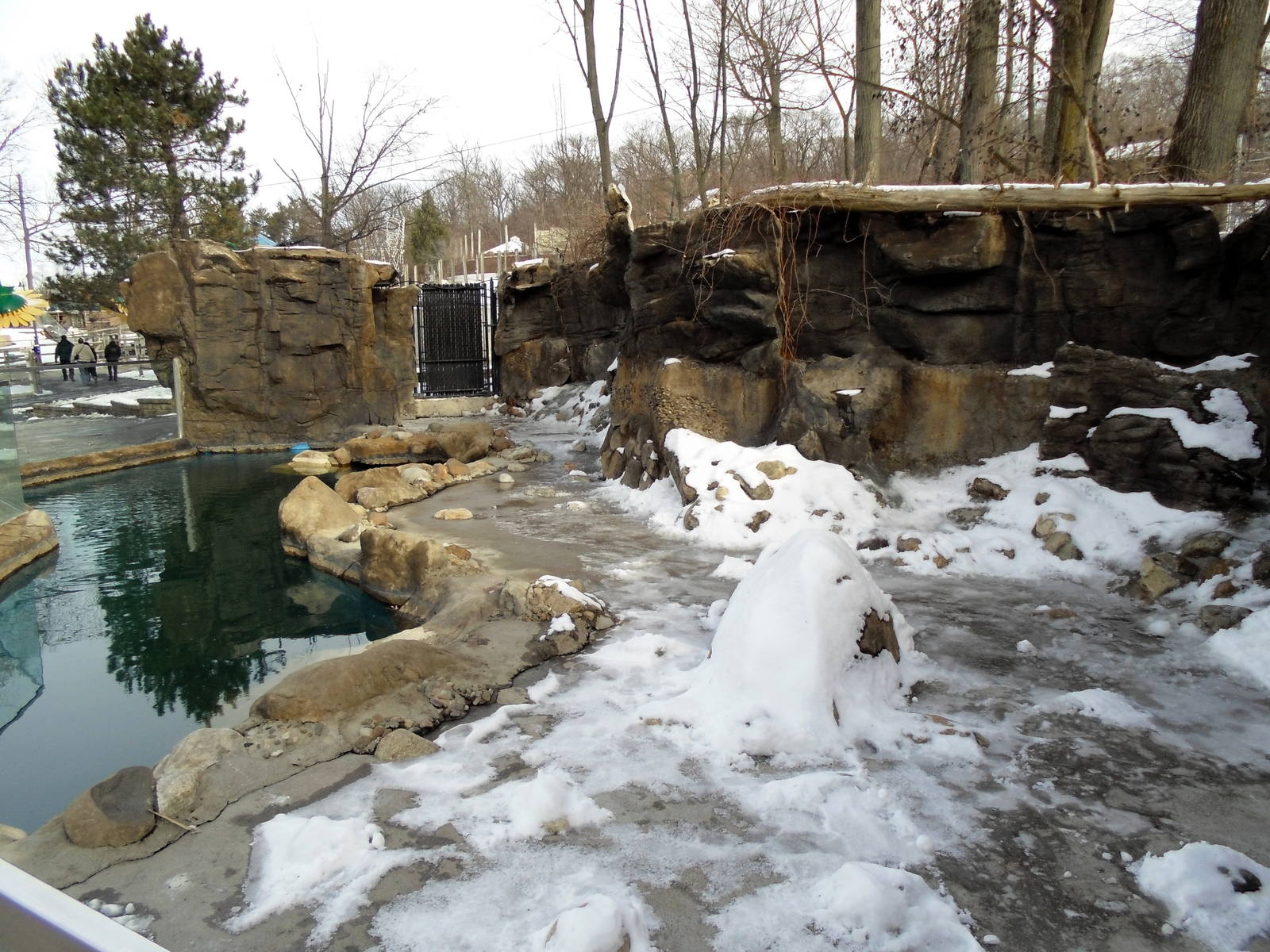 African Penguin Exhibit