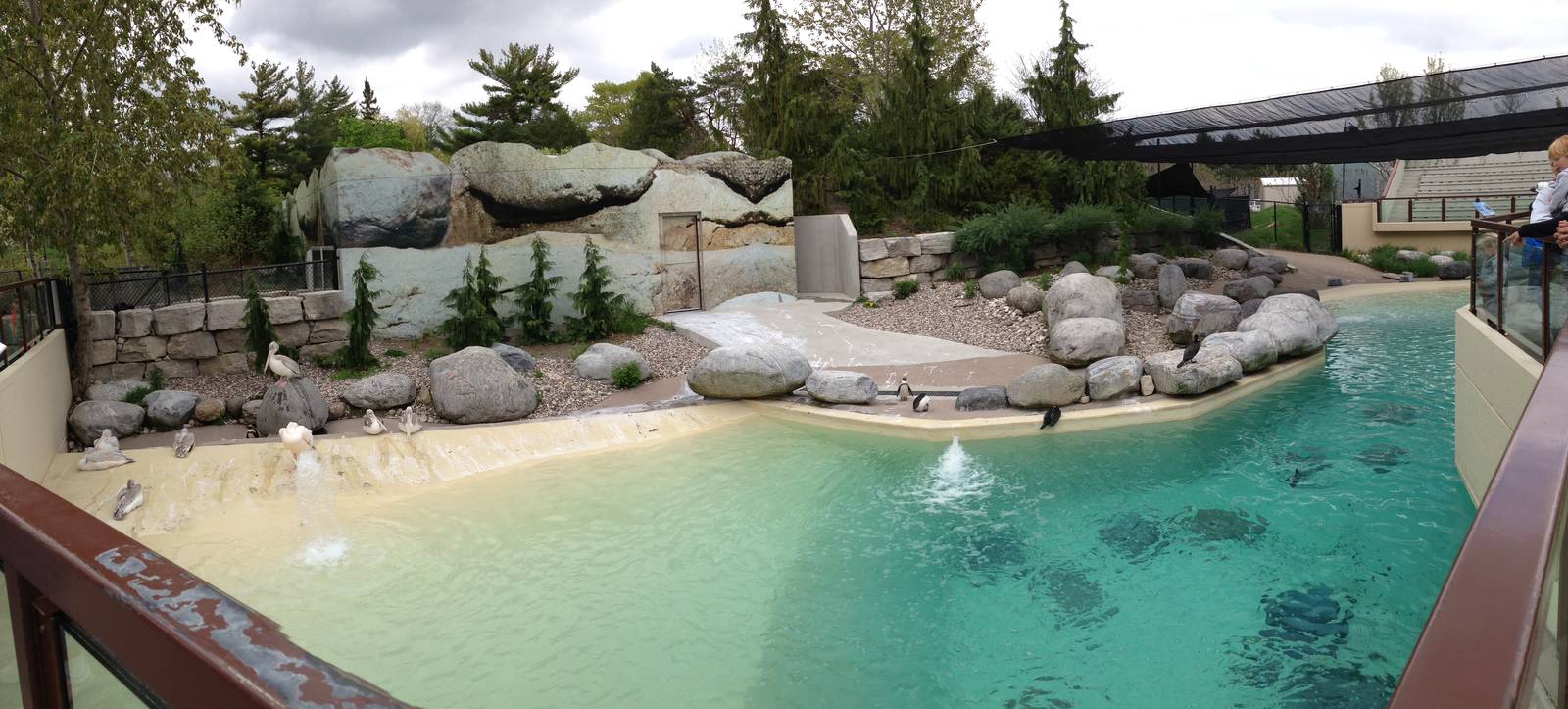 African Penguin Exhibit