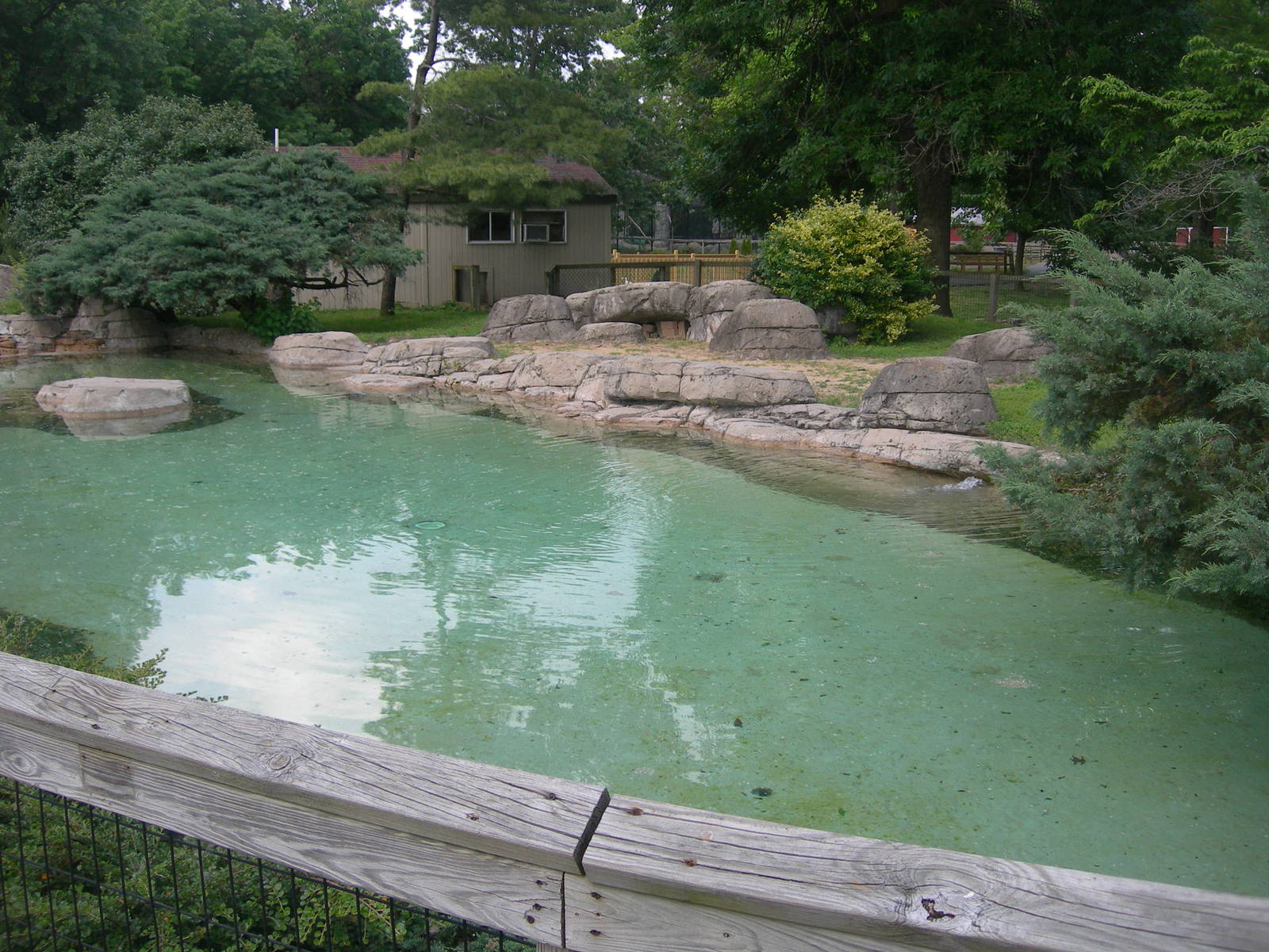 African Penguin Exhibit