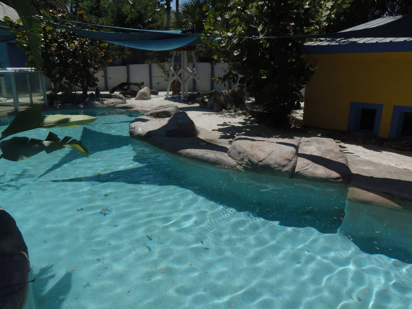 African Penguin Exhibit