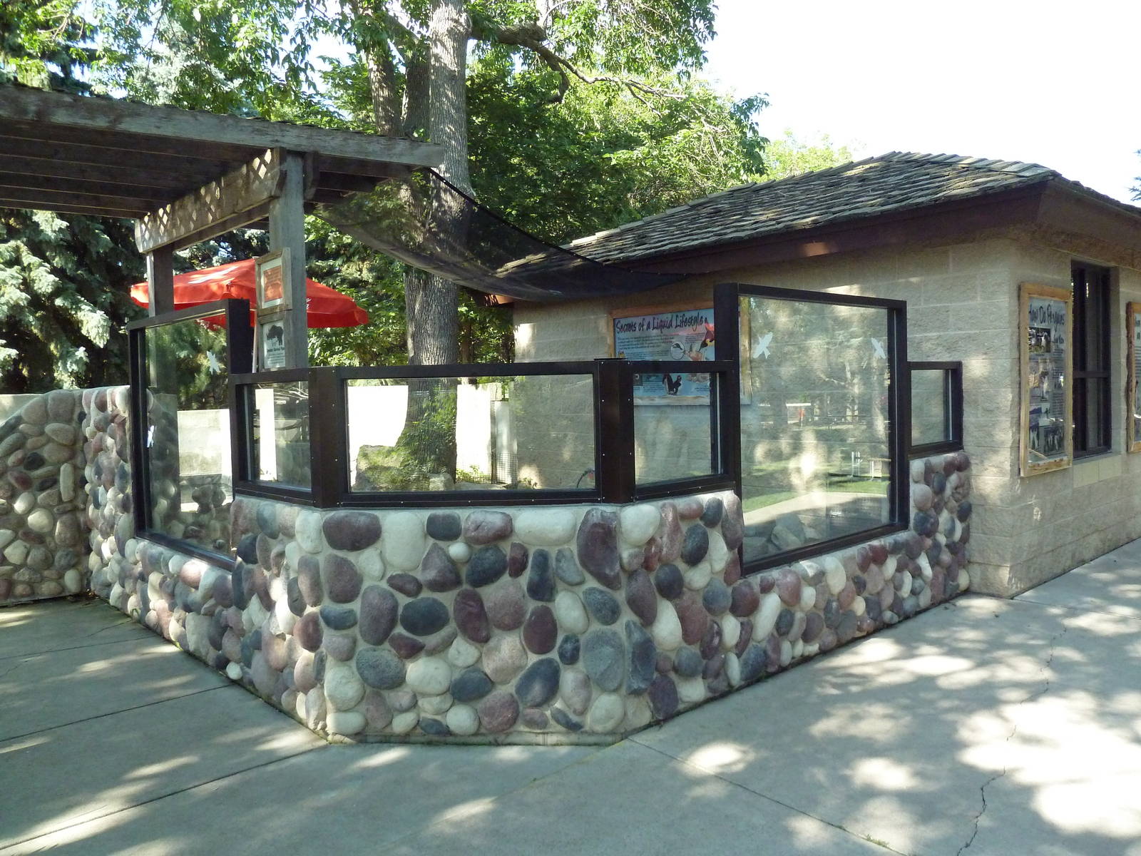 African Penguin Exhibit