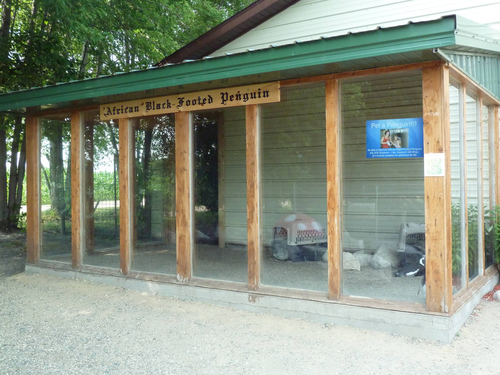 African Penguin Exhibit