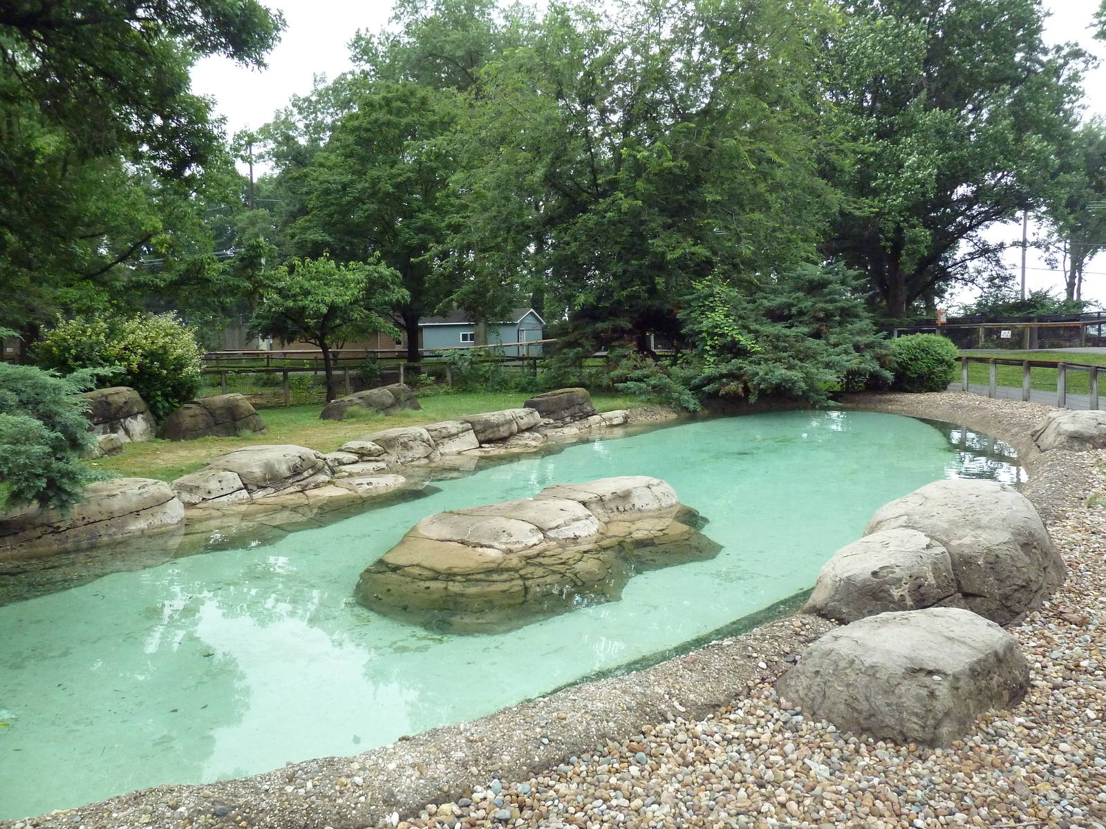 African Penguin Exhibit