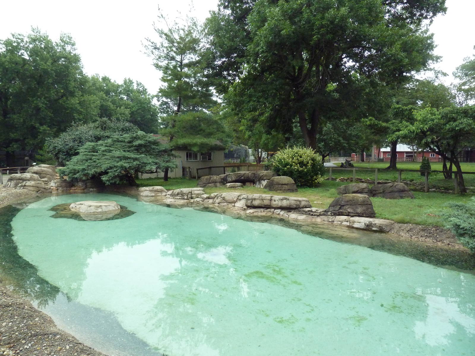 African Penguin Exhibit
