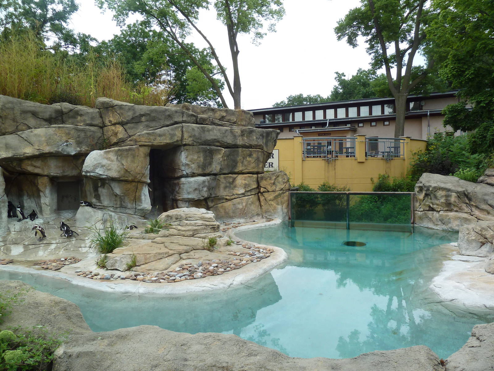 African Penguin Exhibit