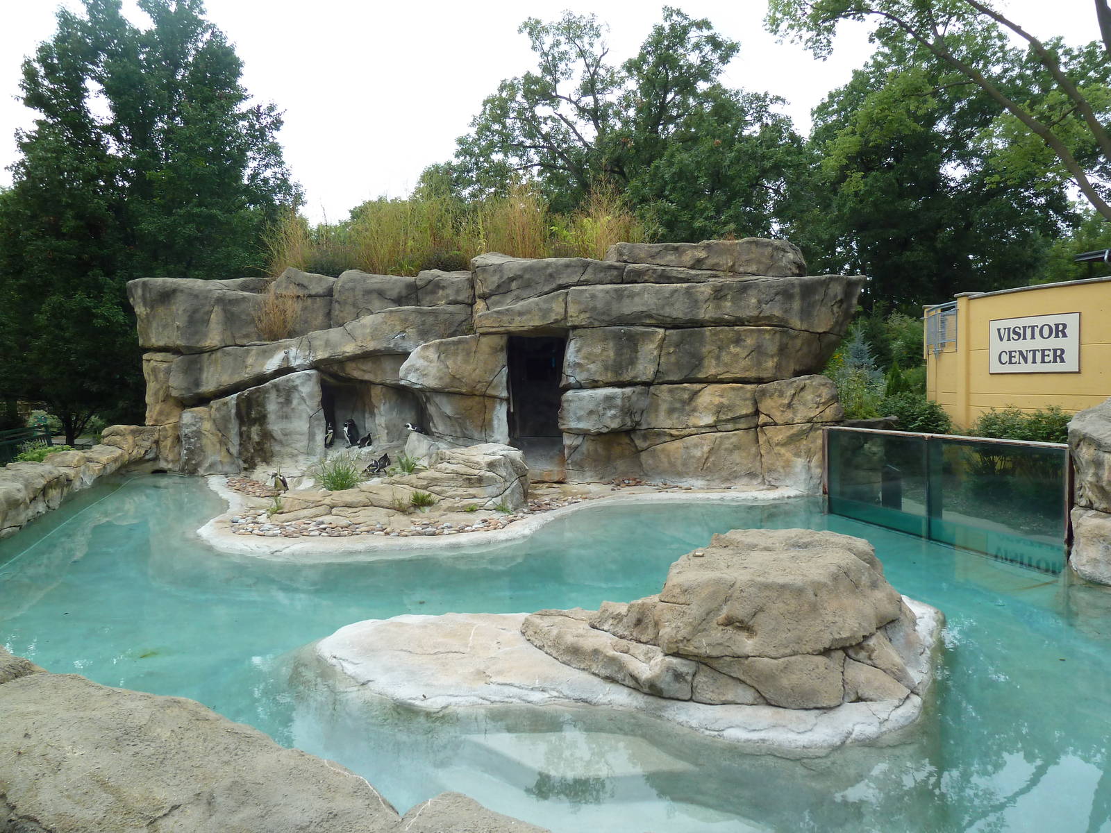 African Penguin Exhibit