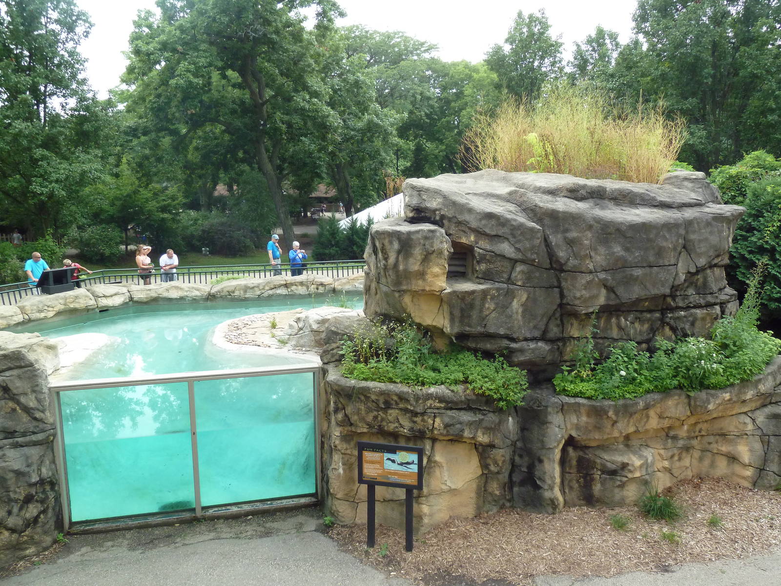 African Penguin Exhibit