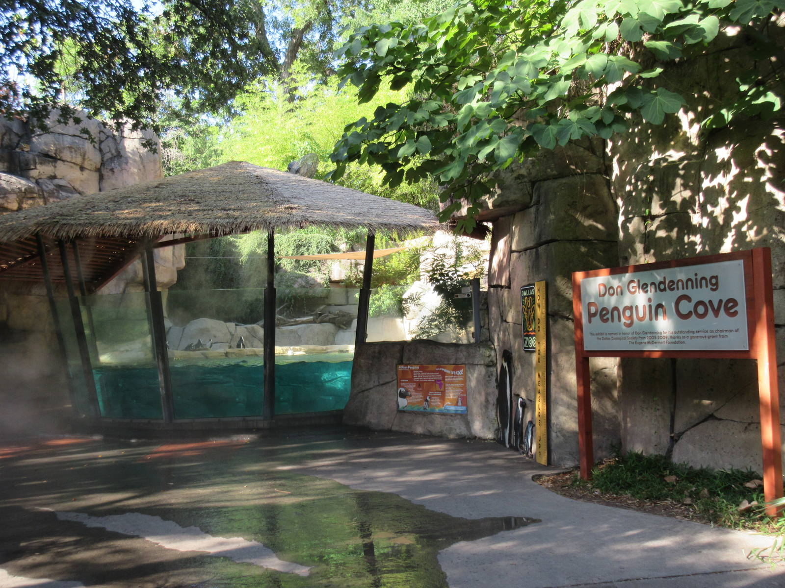 African Penguin Exhibit