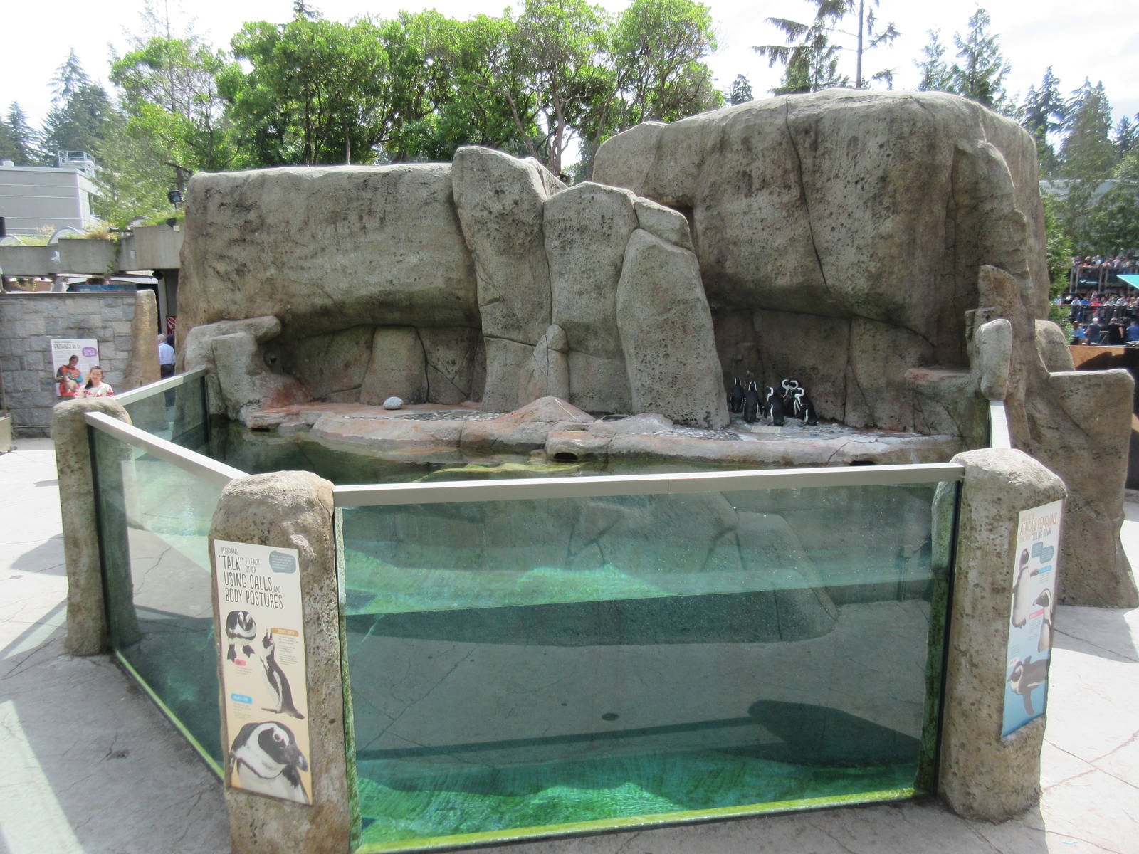 African Penguin Exhibit