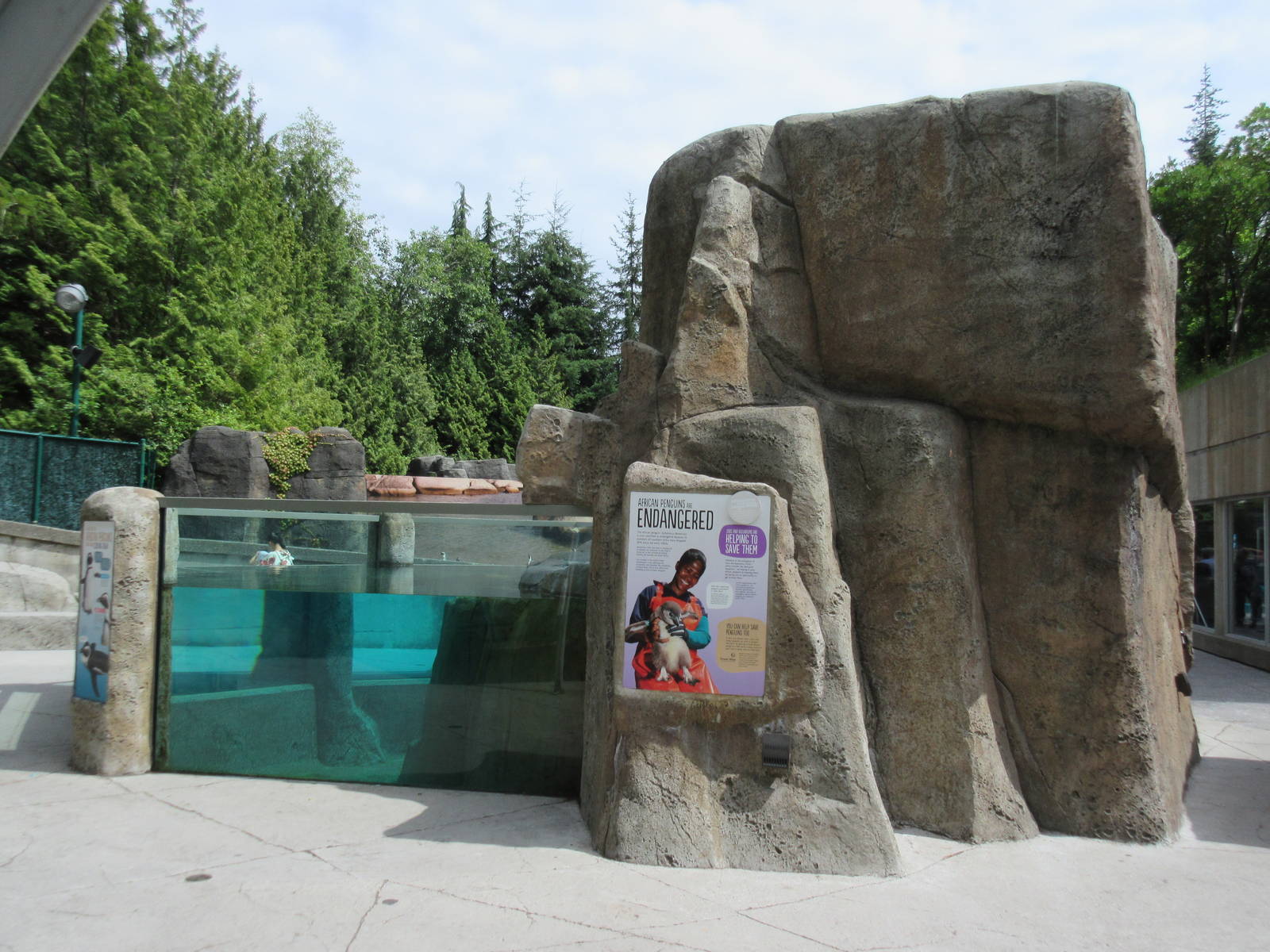 African Penguin Exhibit