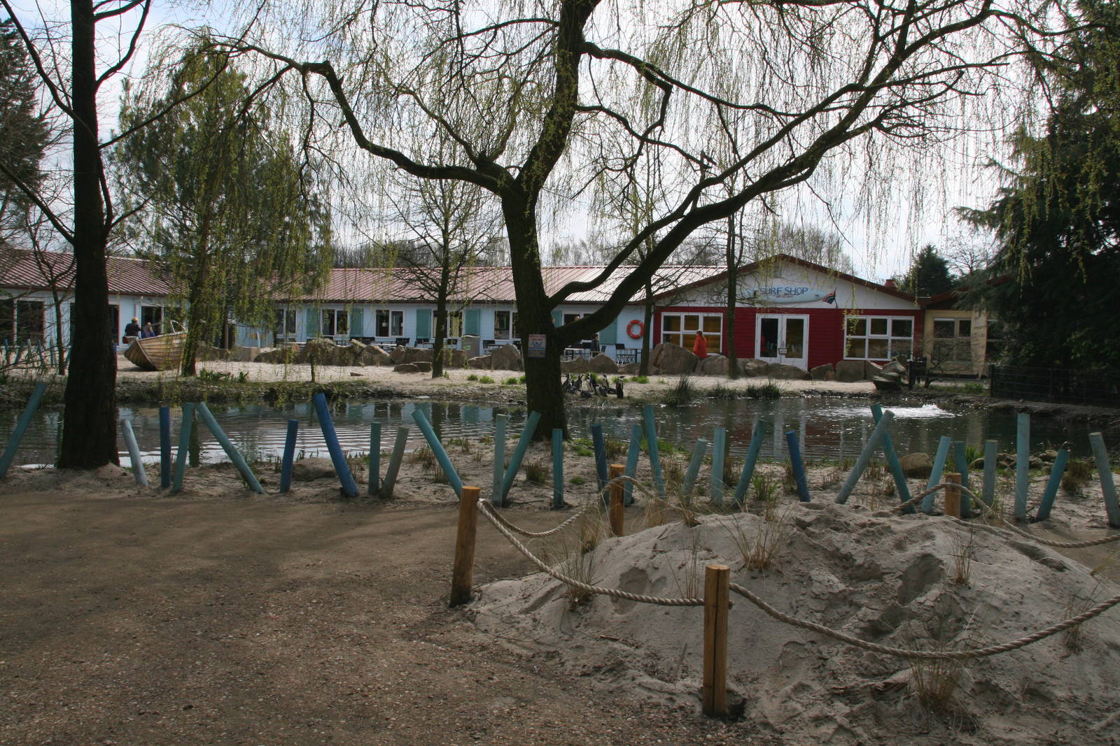 African penguin exhibit
