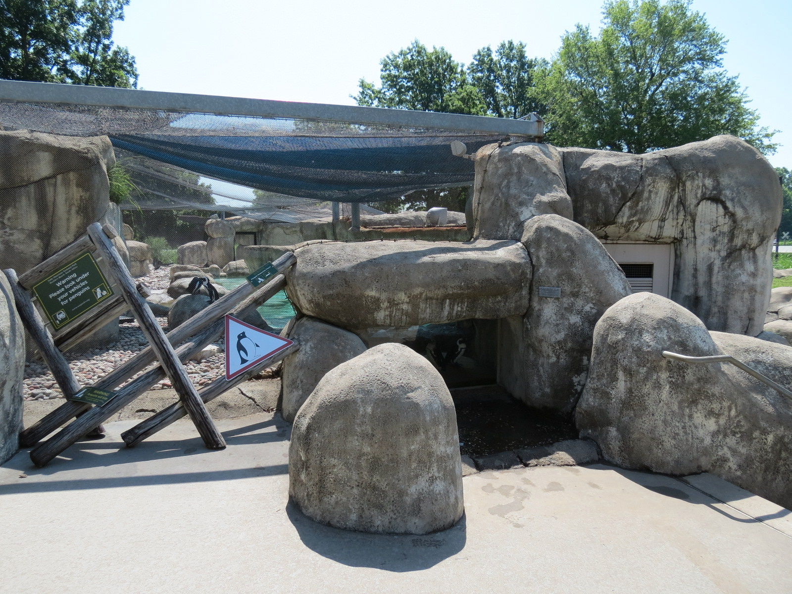 African Penguin Exhibit