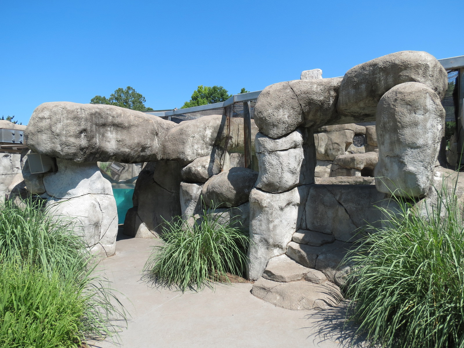African Penguin Exhibit