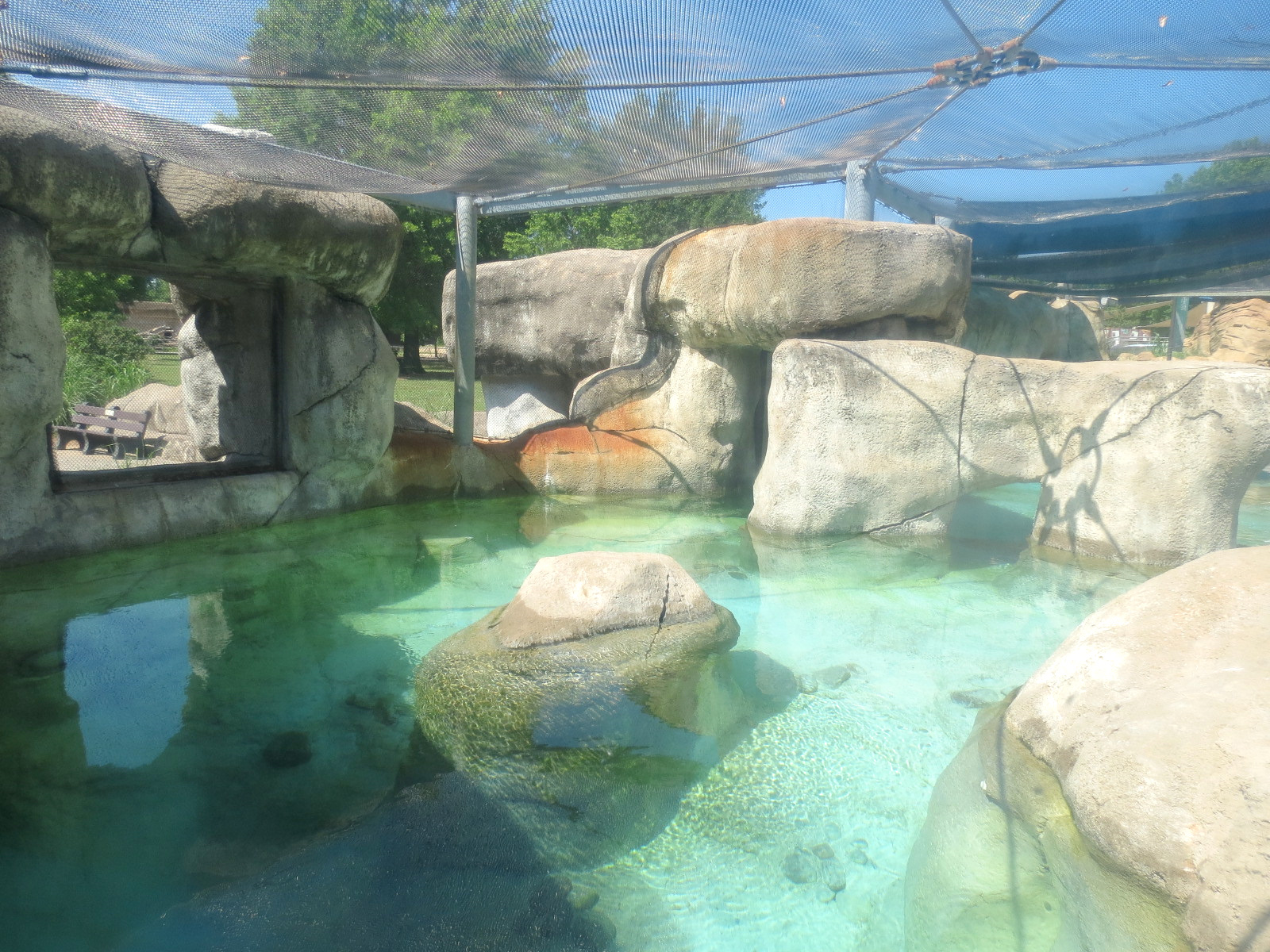 African Penguin Exhibit