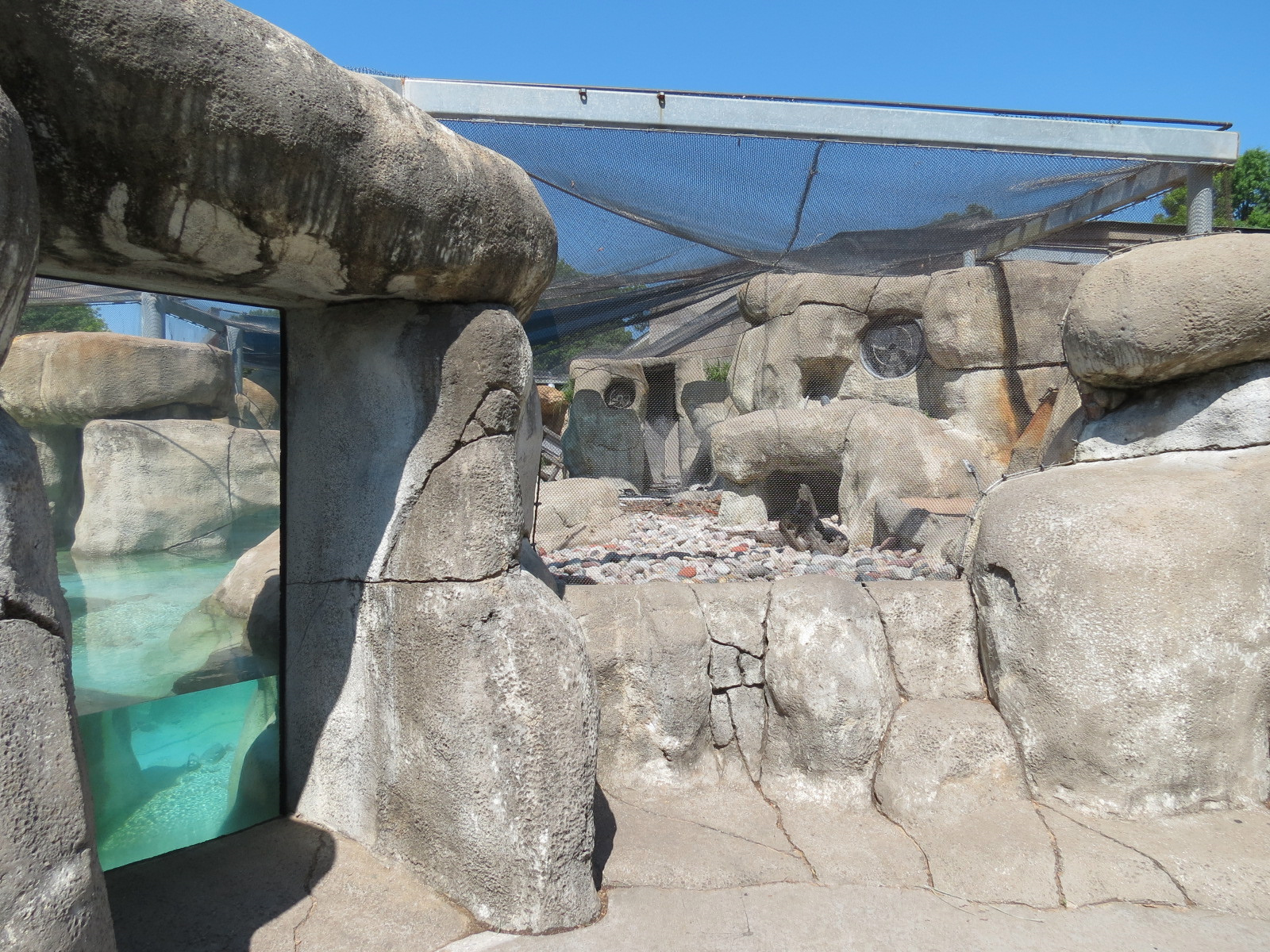 African Penguin Exhibit