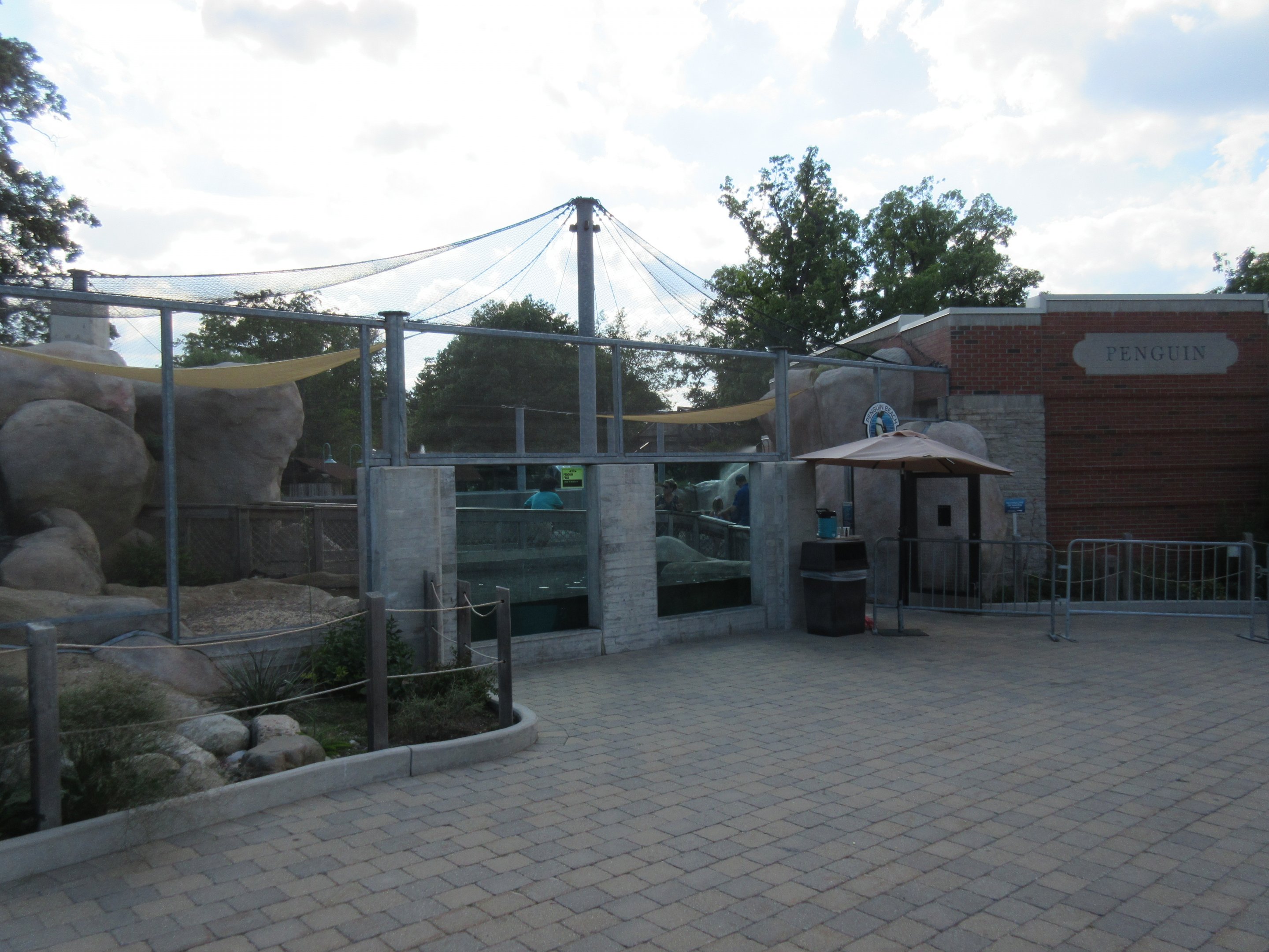 African Penguin Exhibit