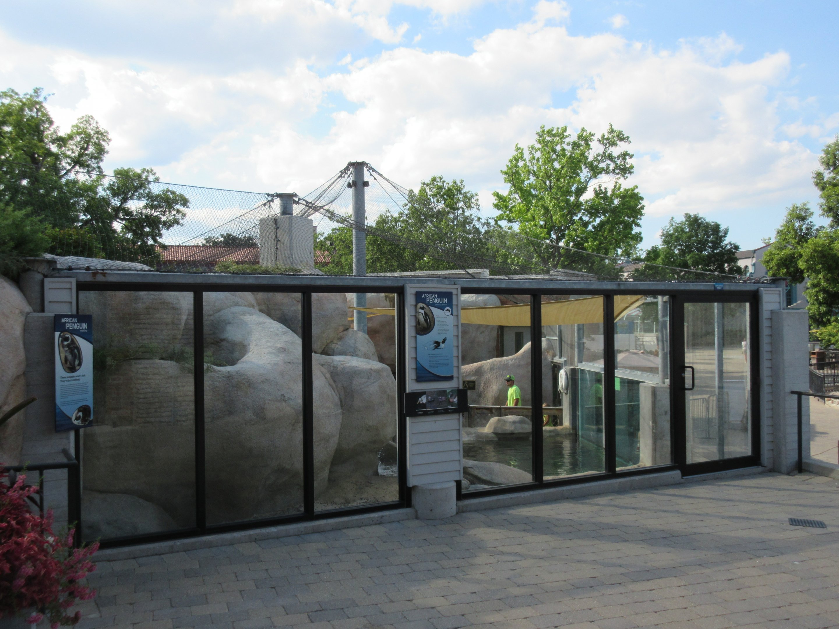 African Penguin Exhibit