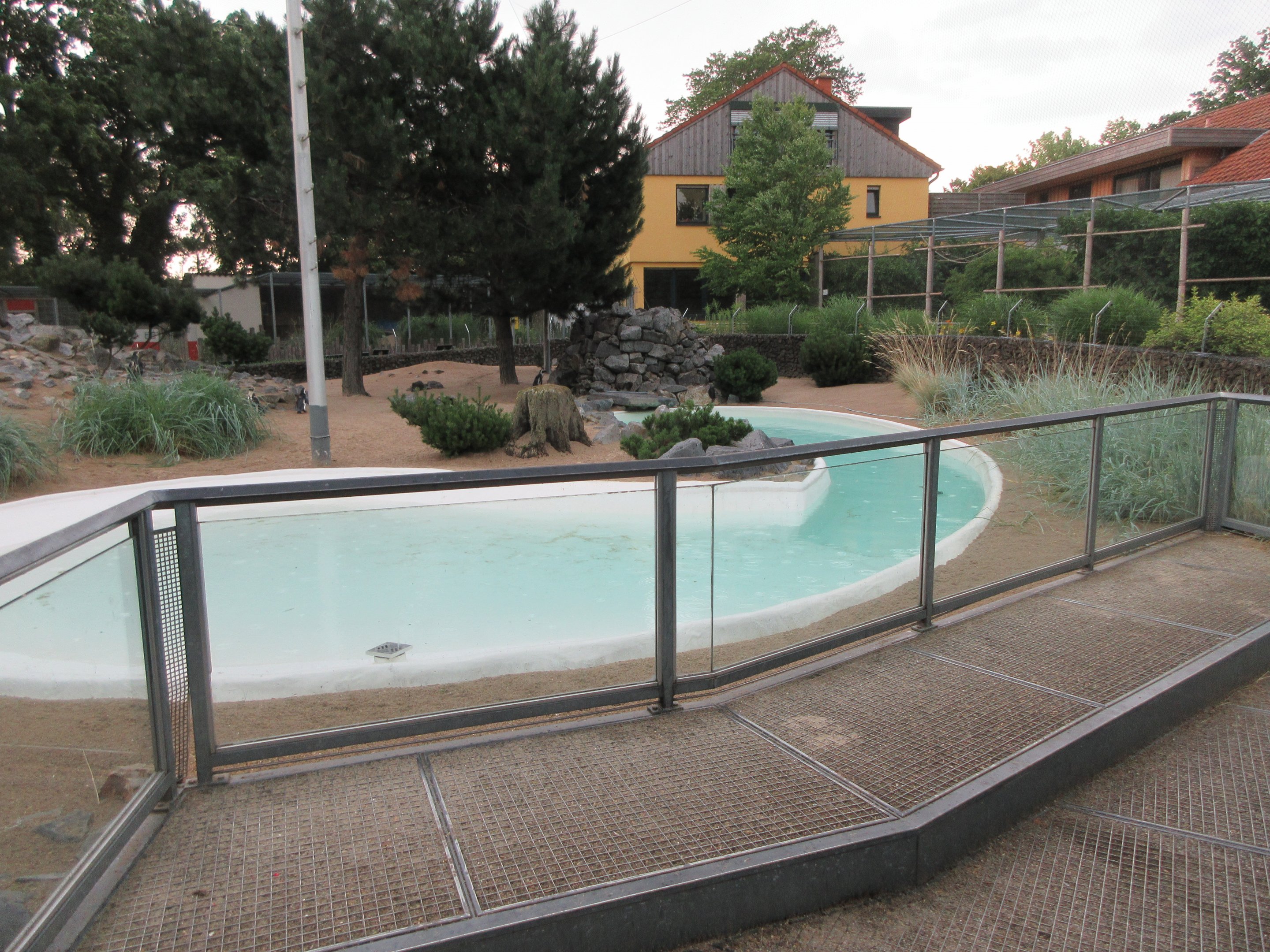 African Penguin Exhibit