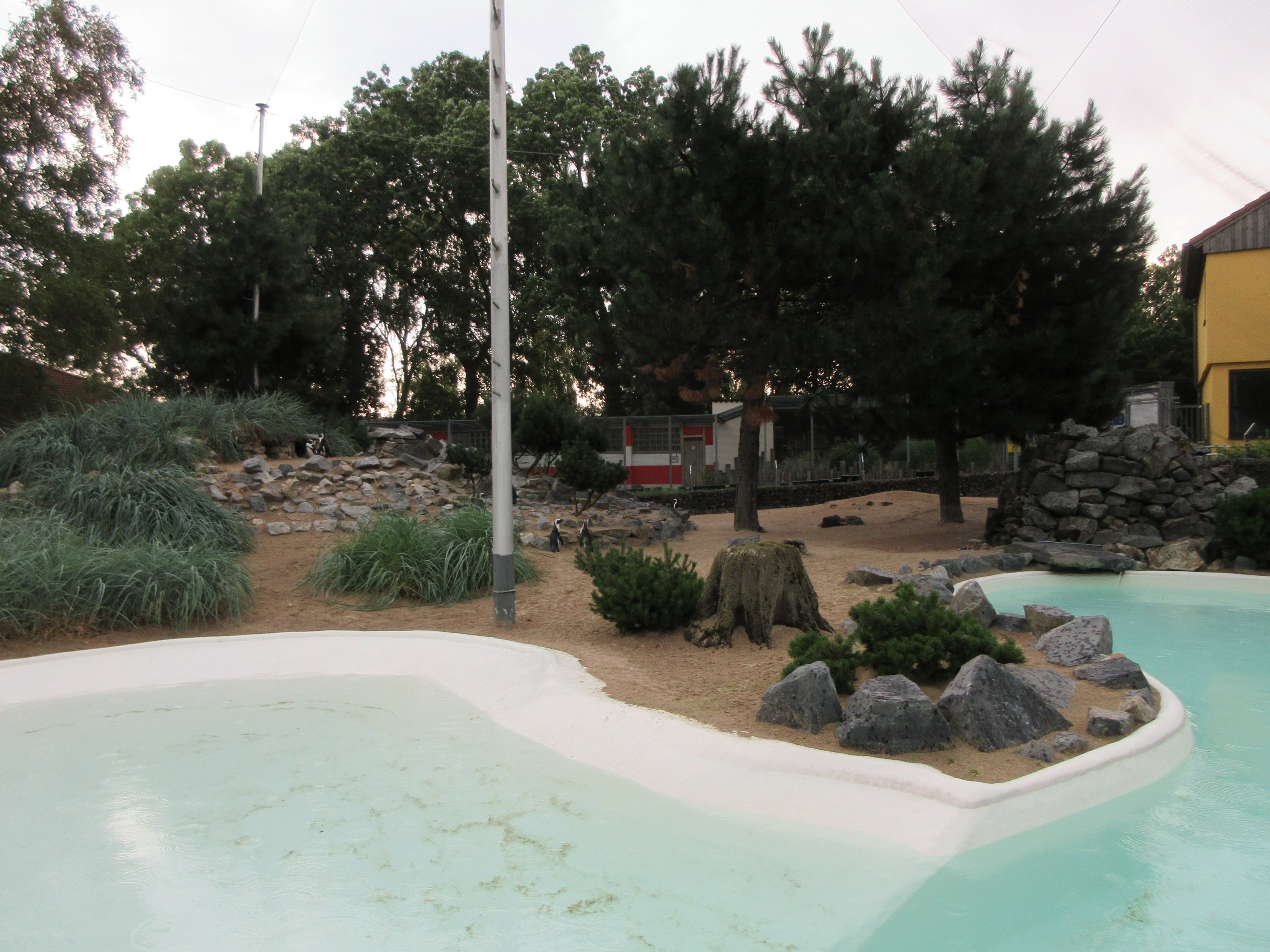 African Penguin Exhibit