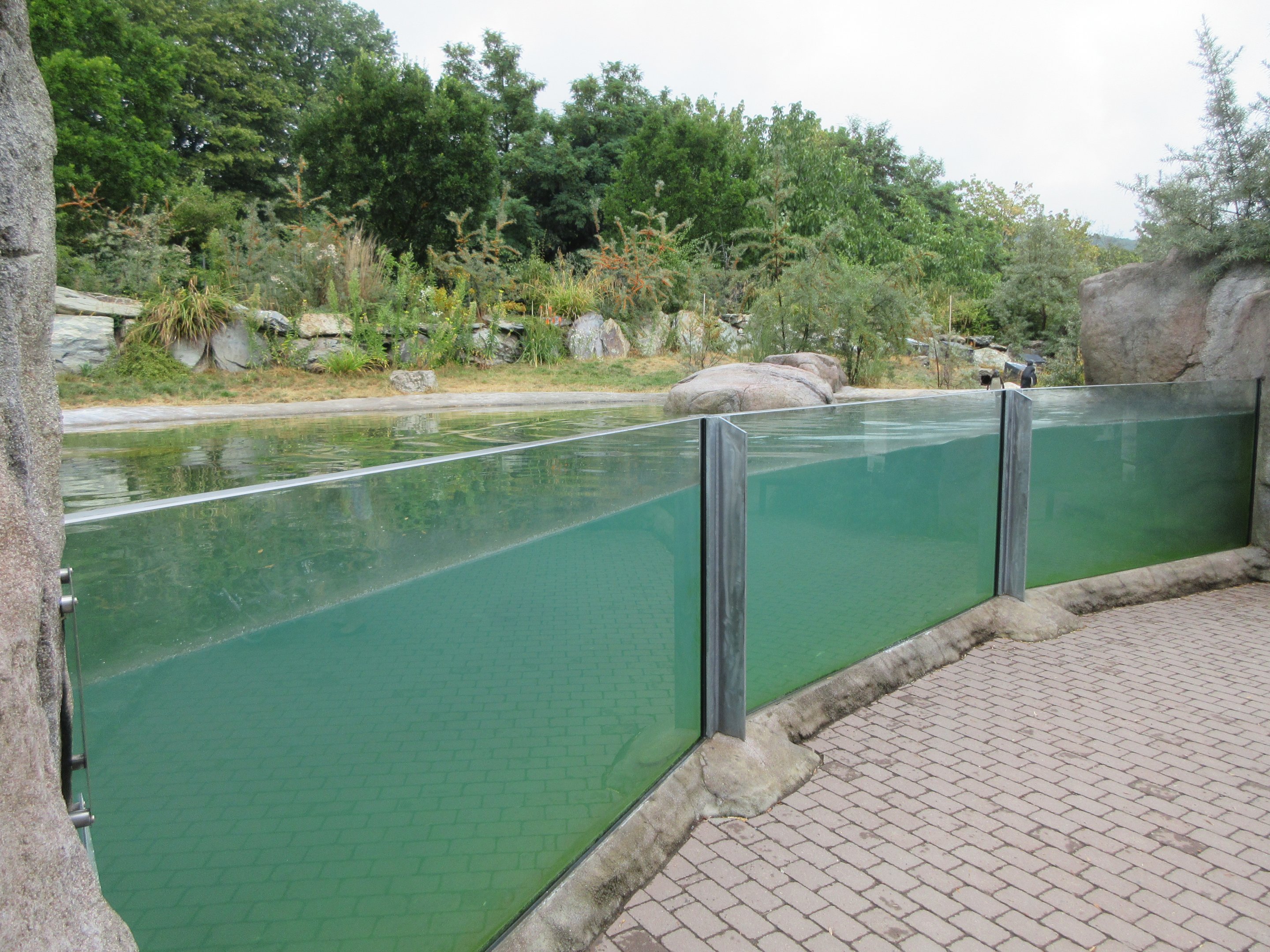 African Penguin Exhibit