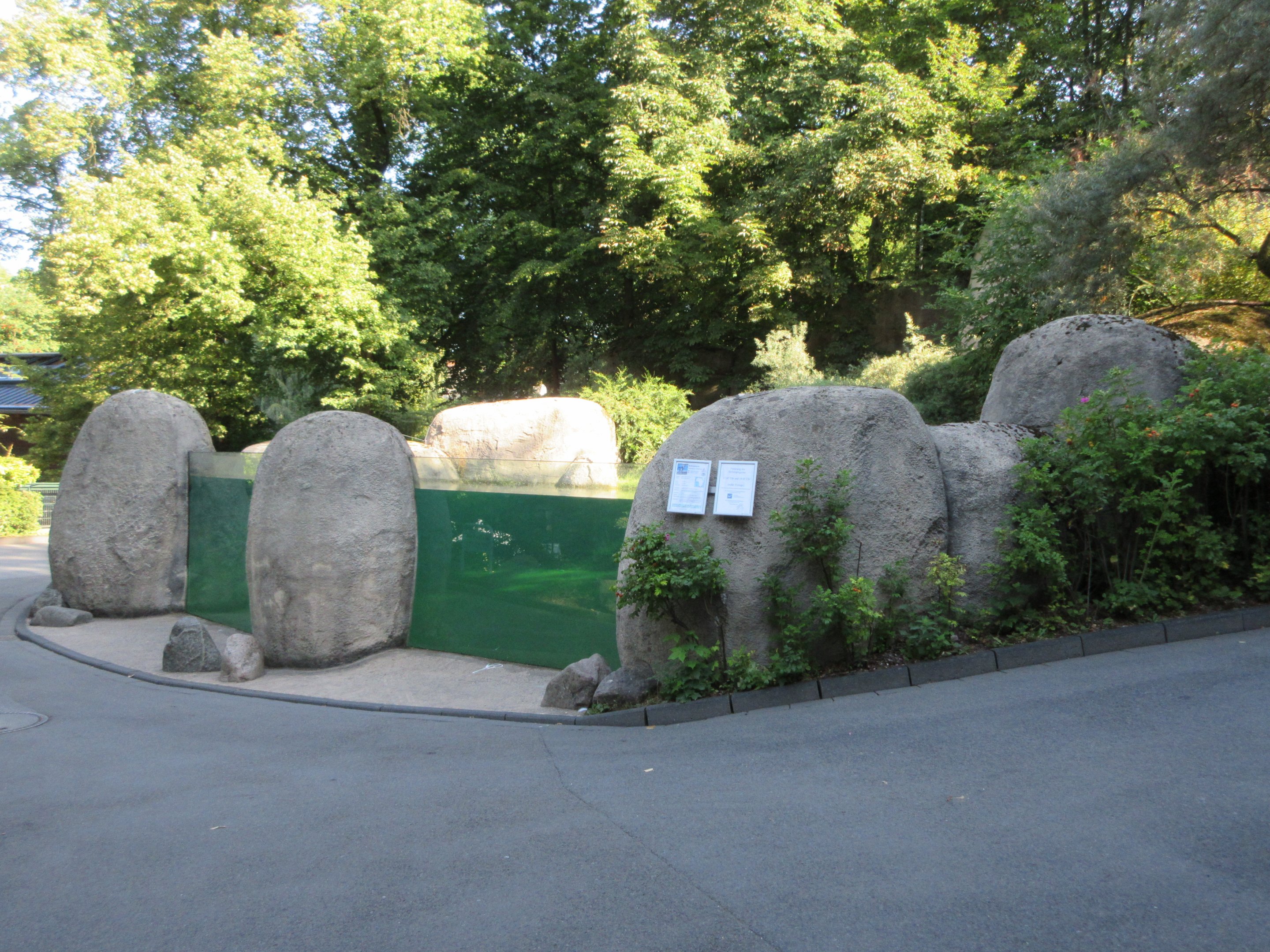 African Penguin Exhibit