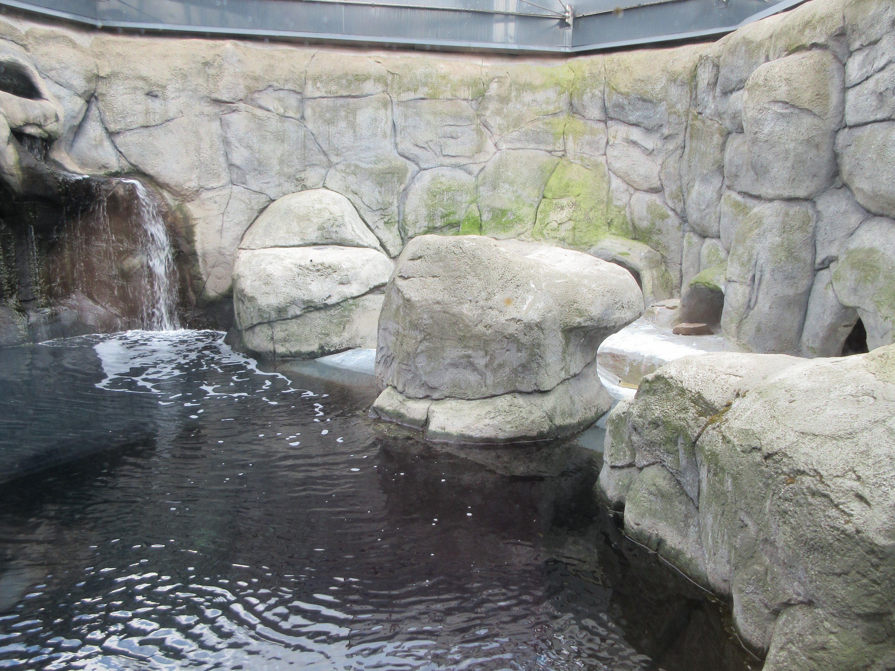 African Penguin Exhibit