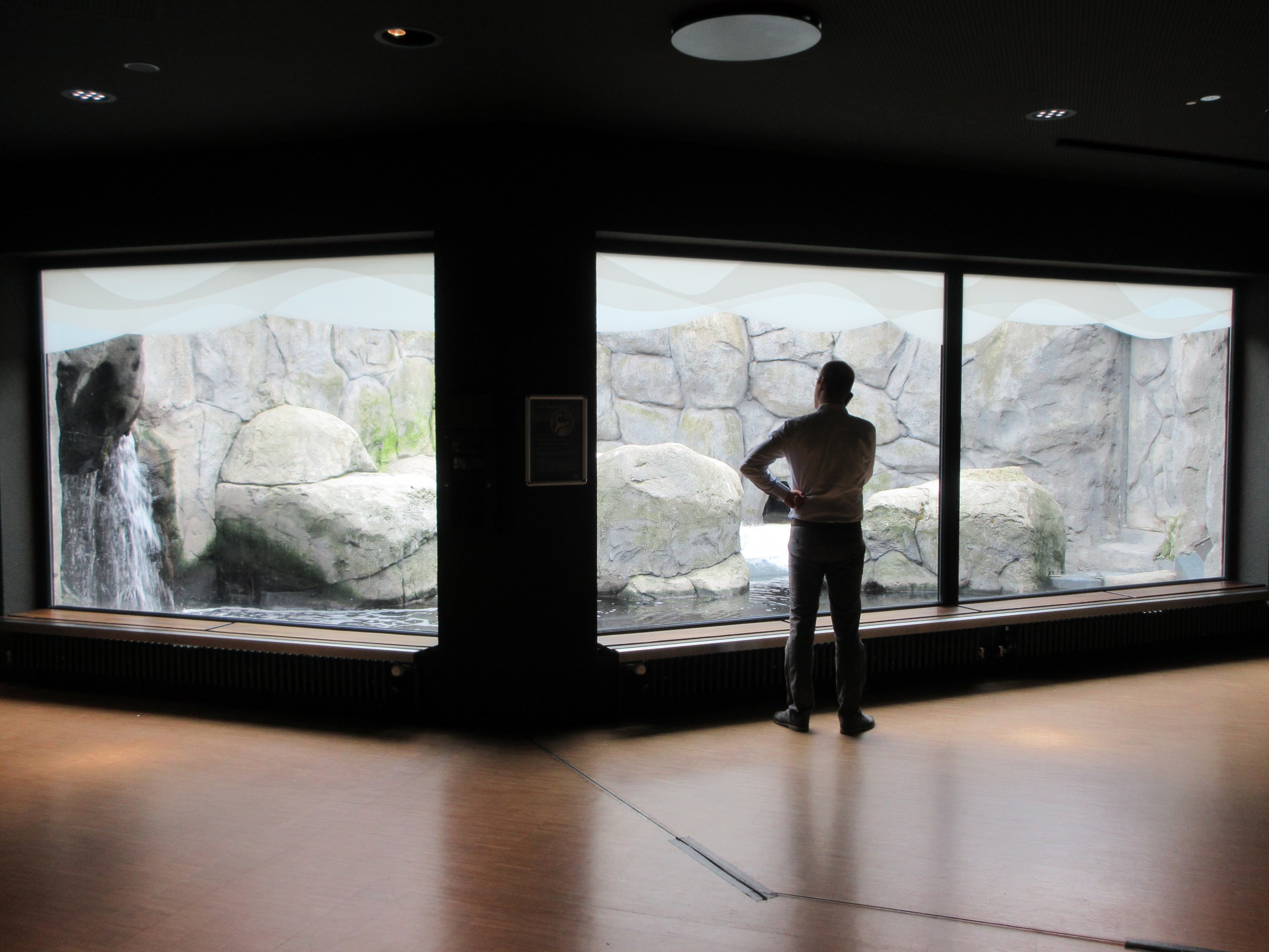 African Penguin Exhibit