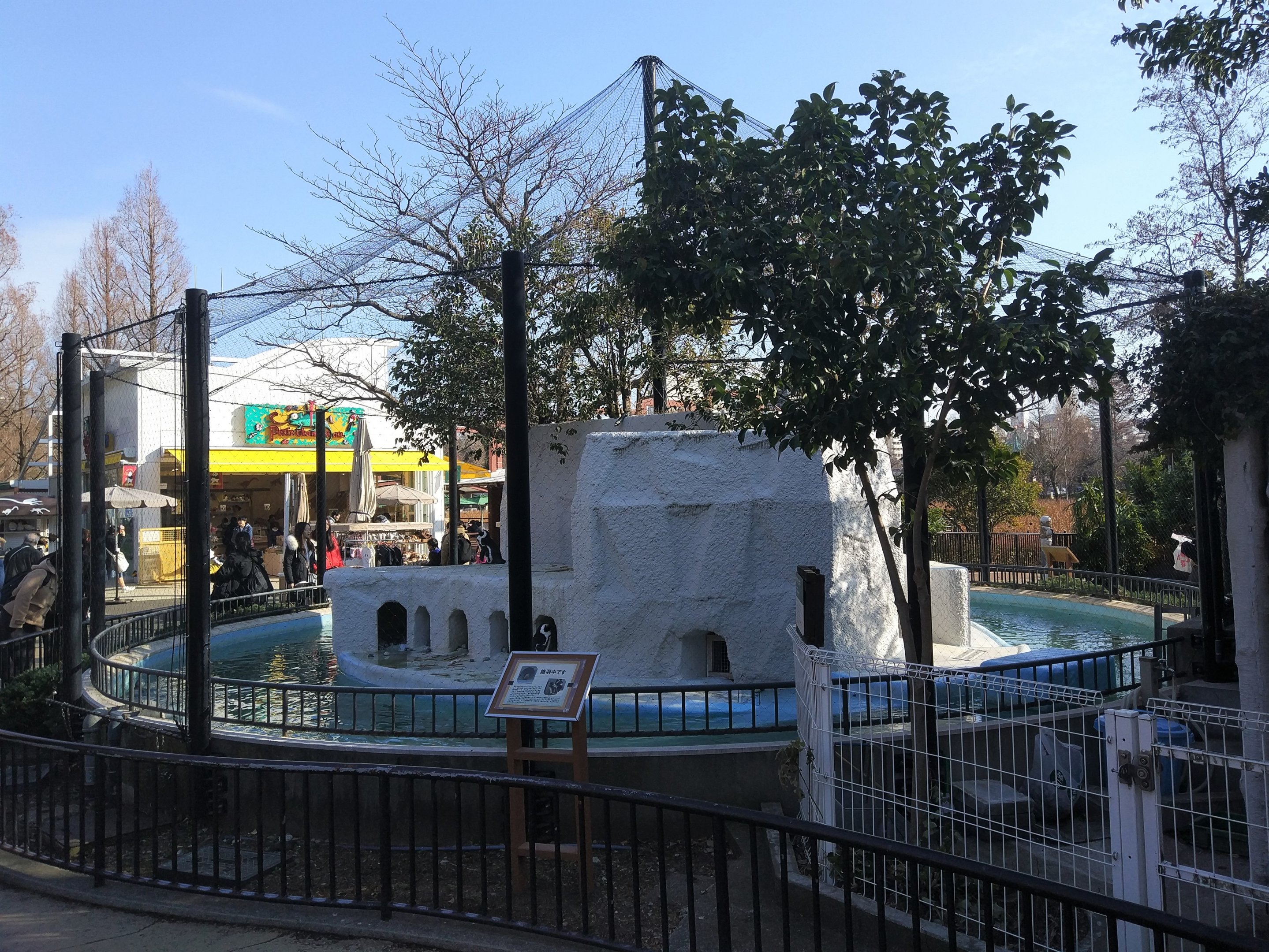 African Penguin Exhibit