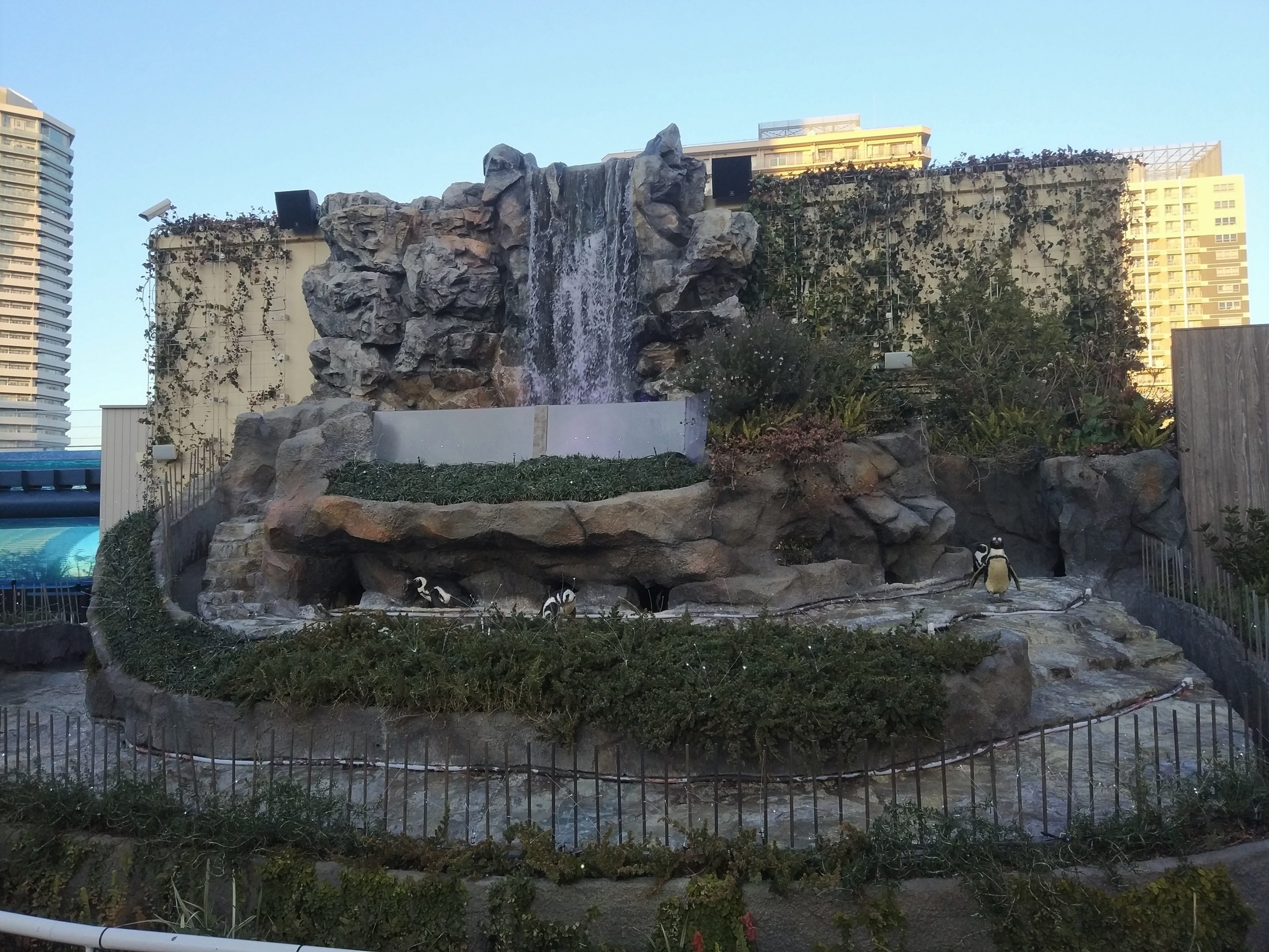 African Penguin Exhibit