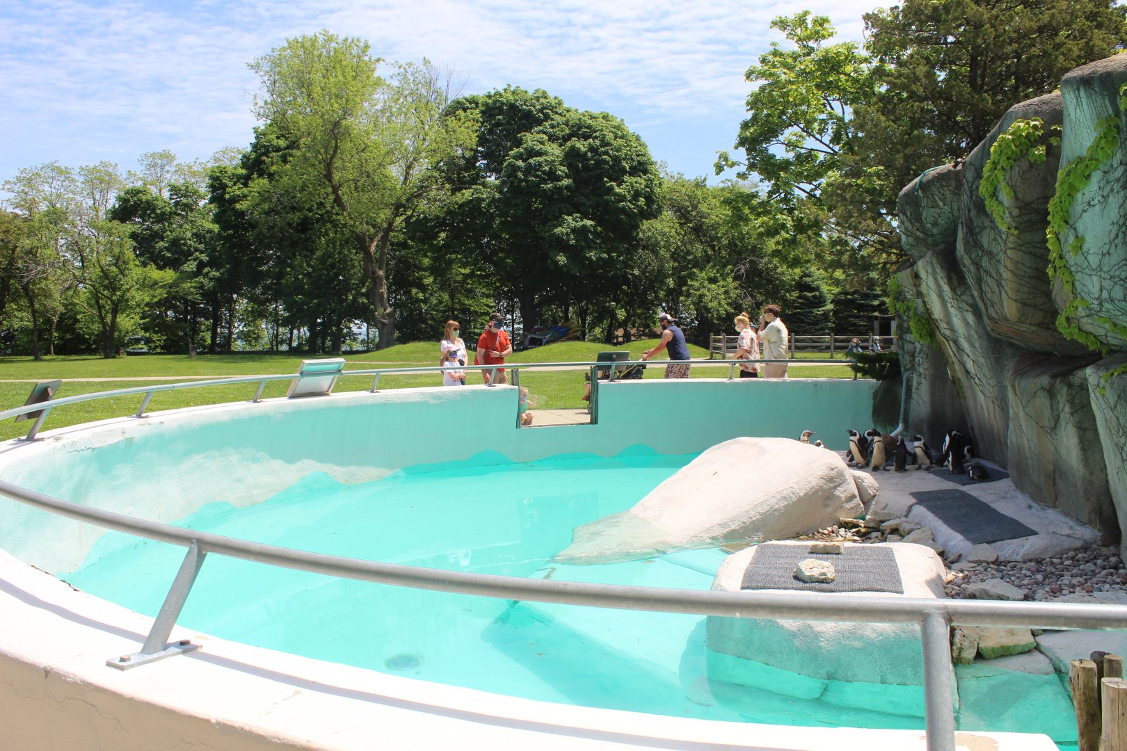 African Penguin Exhibit