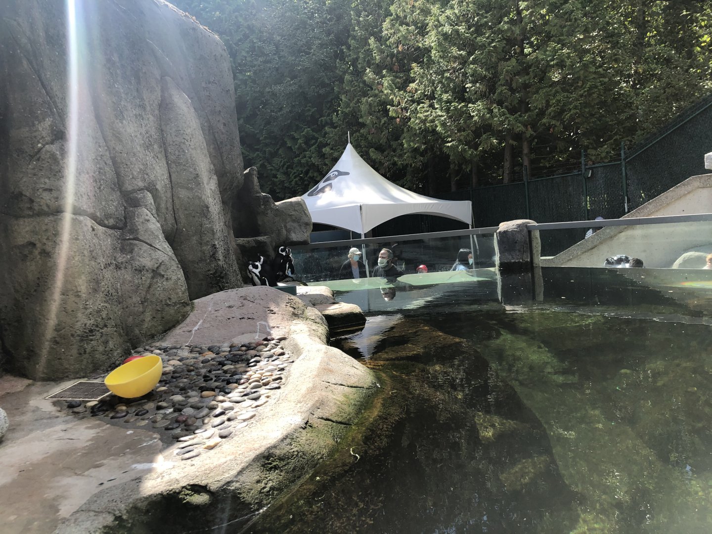 African Penguin Exhibit