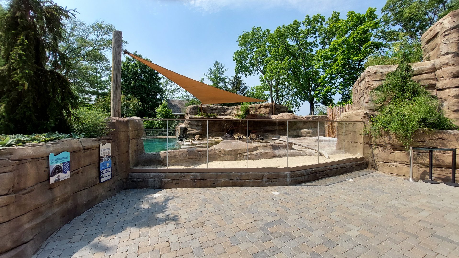 African Penguin Exhibit