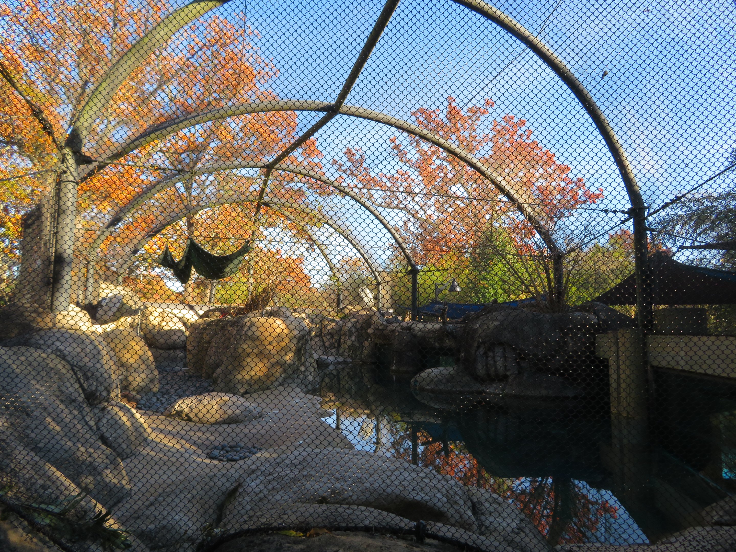 African Penguin Exhibit