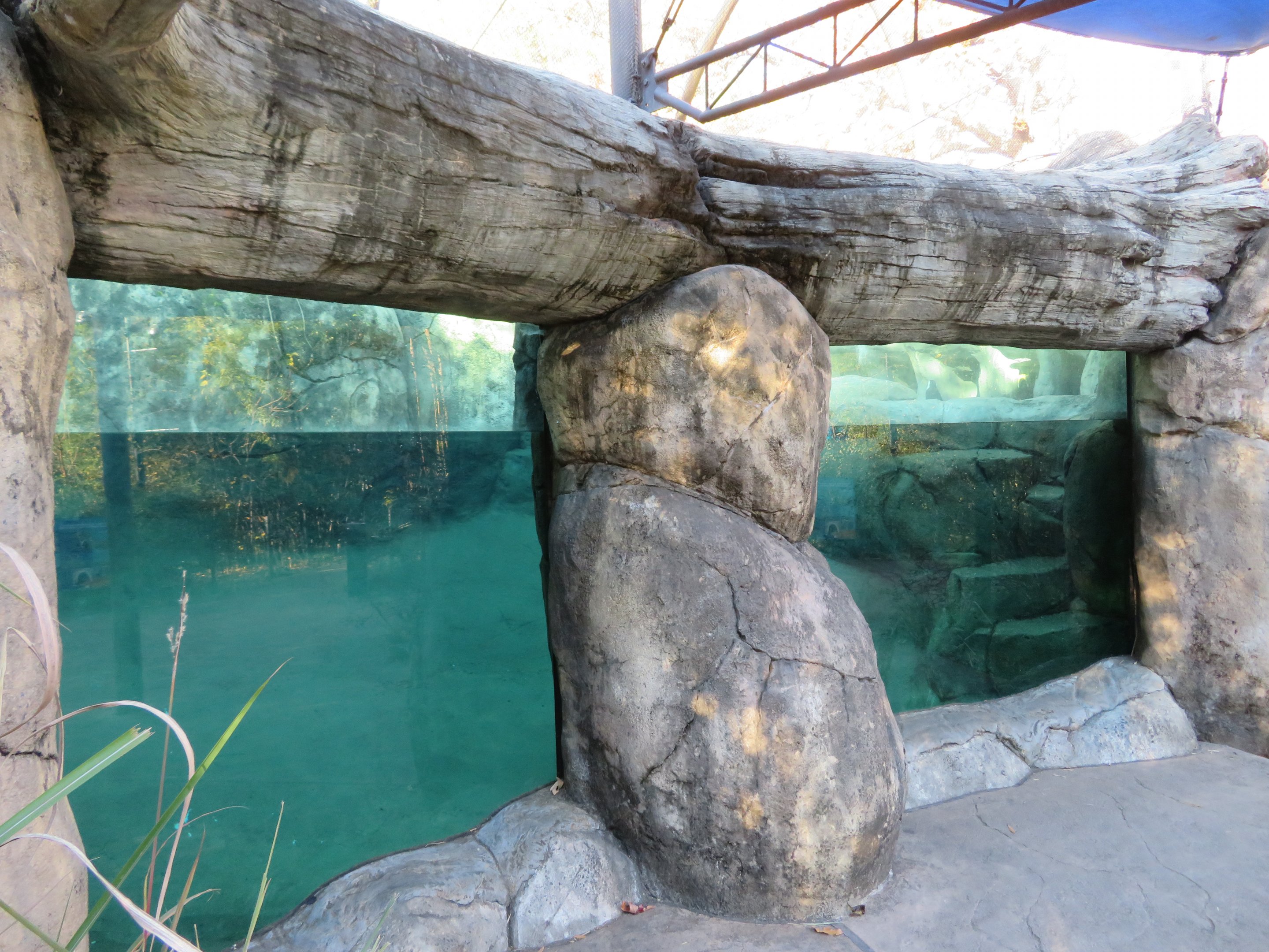 African Penguin Exhibit