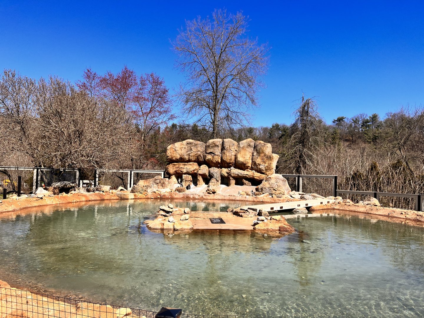 African Penguin Exhibit