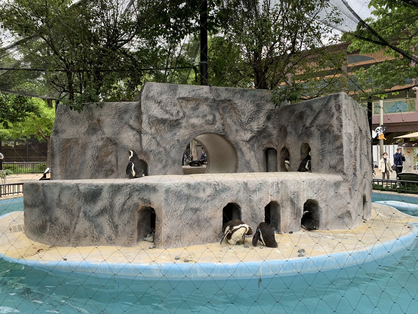 African Penguin Exhibit