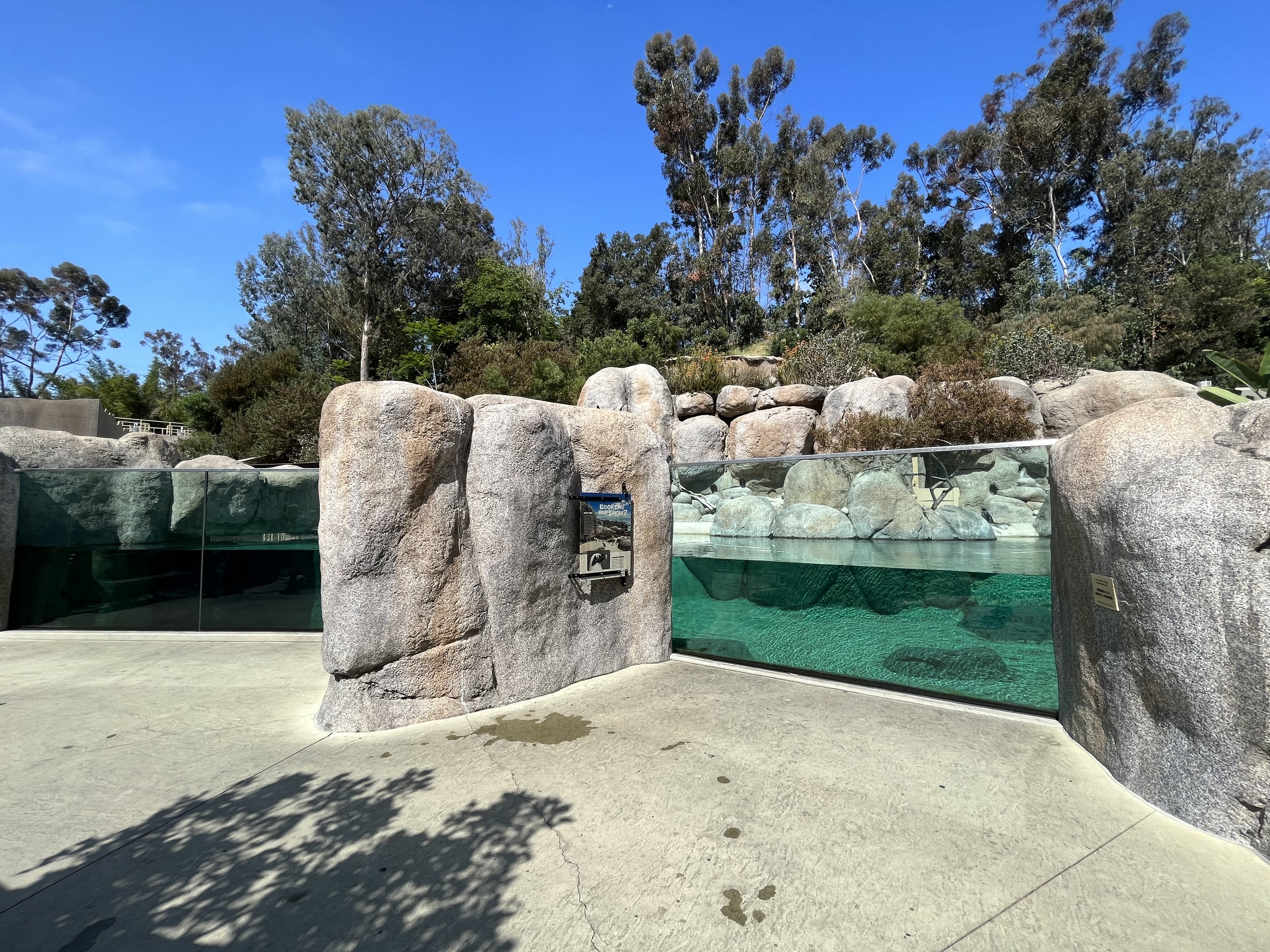 African Penguin Exhibit