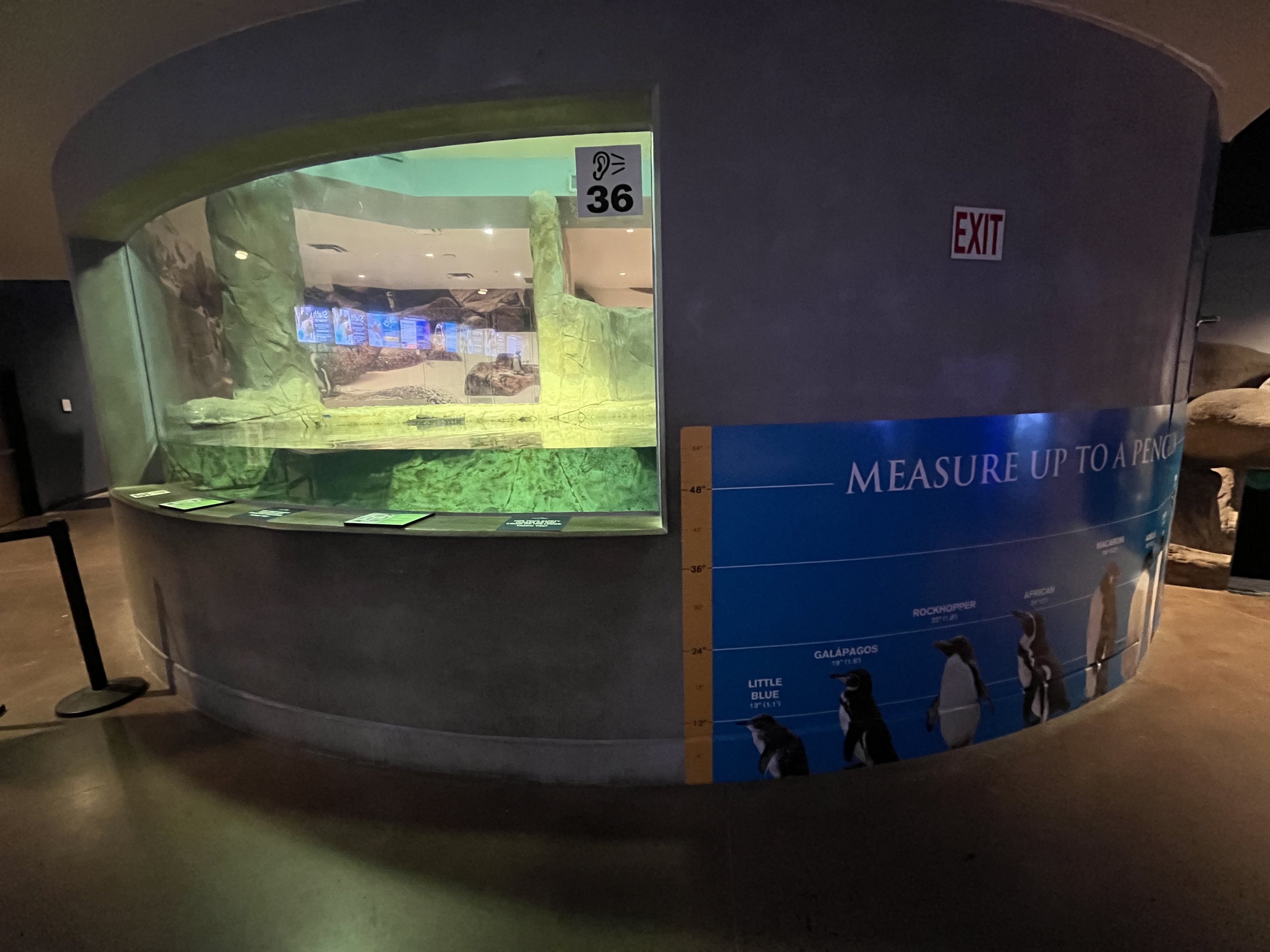 African Penguin Exhibit