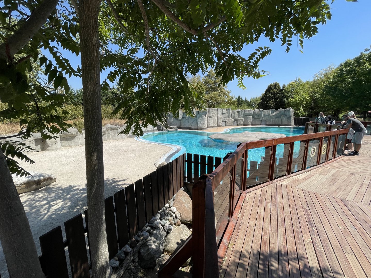 African penguin exhibit