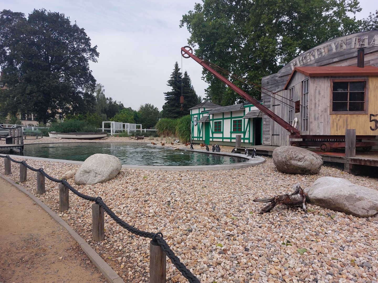 African penguin exhibit