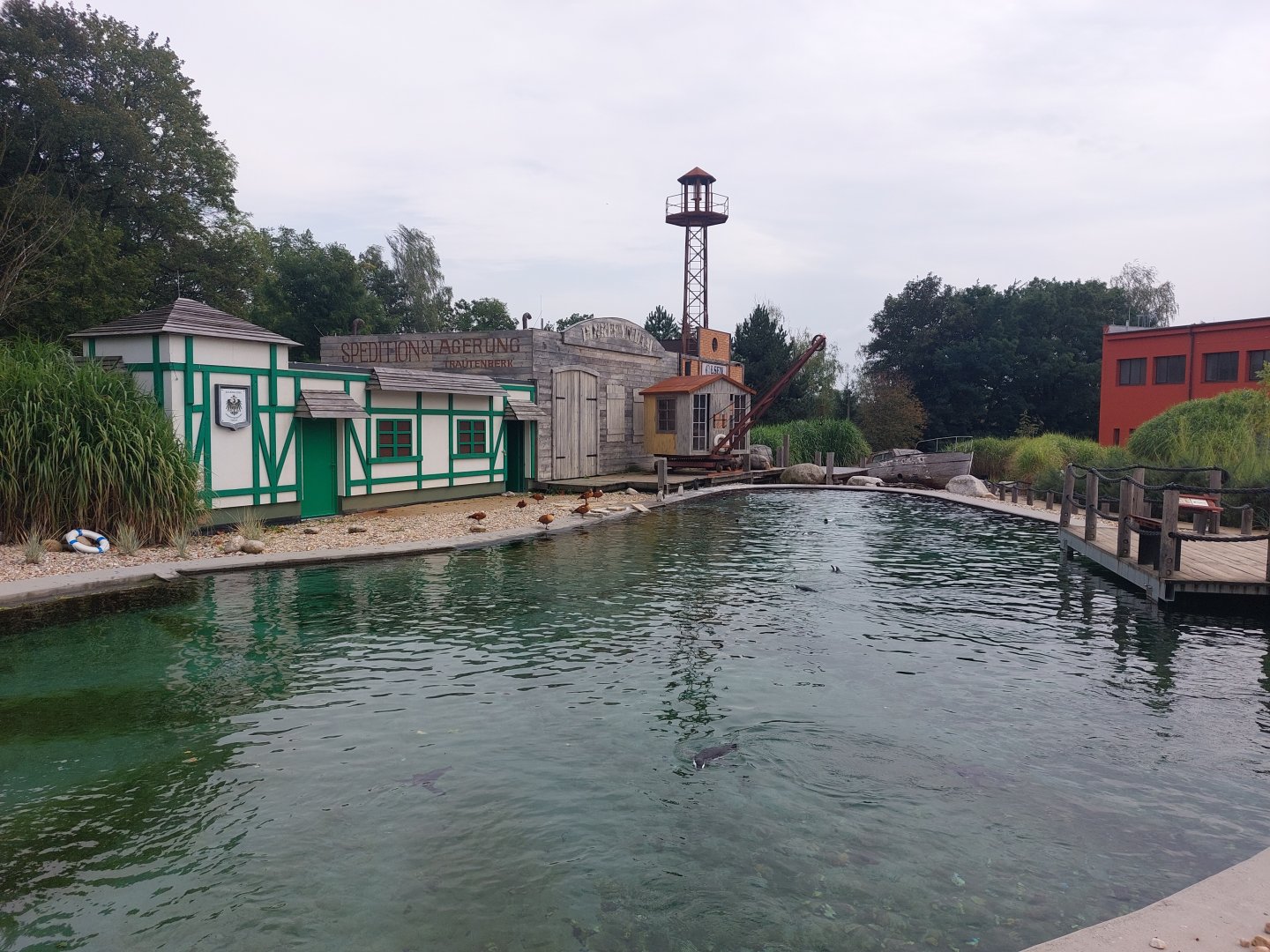 African penguin exhibit