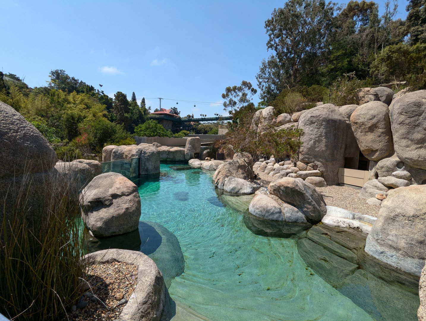 African Penguin Exhibit