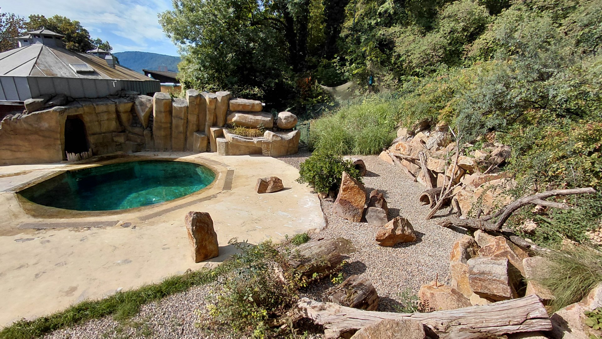 African penguin exhibit